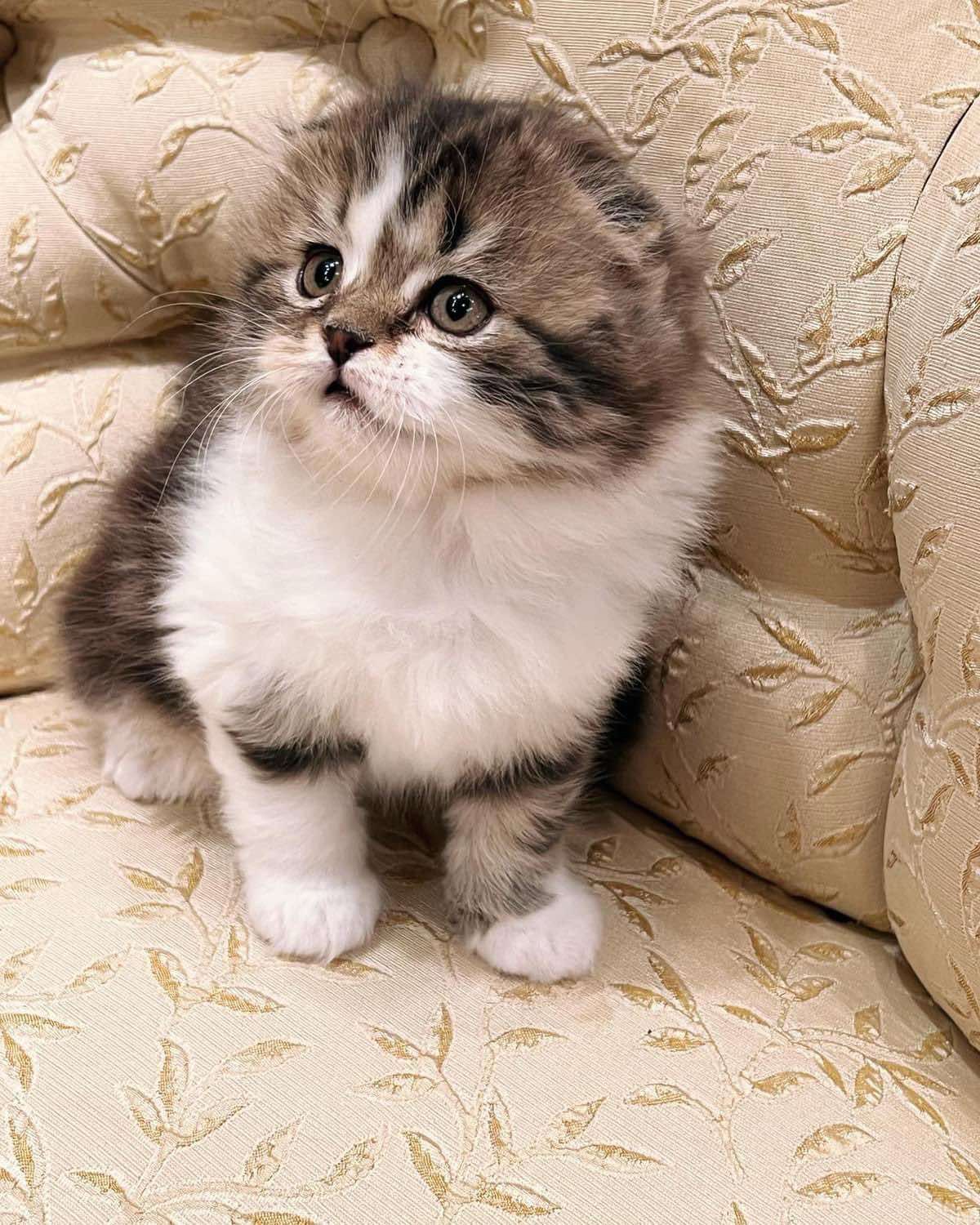 WhatsApp Image 2023-11-18 at 15.37.11