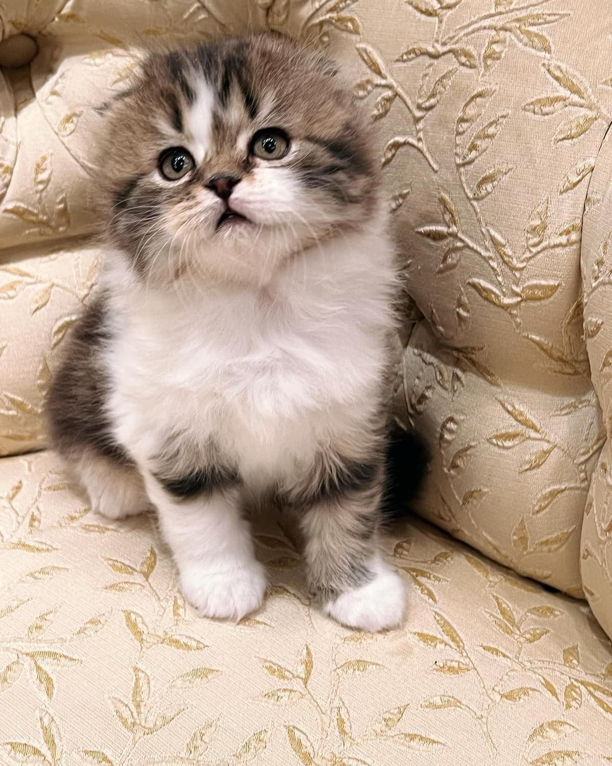 WhatsApp Image 2023-11-18 at 15.37.12 (1)