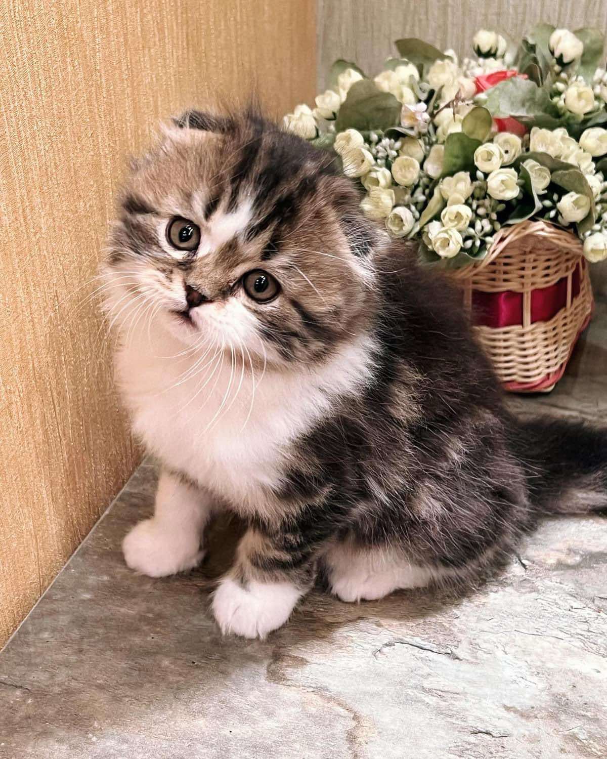 WhatsApp Image 2023-11-18 at 15.37.12