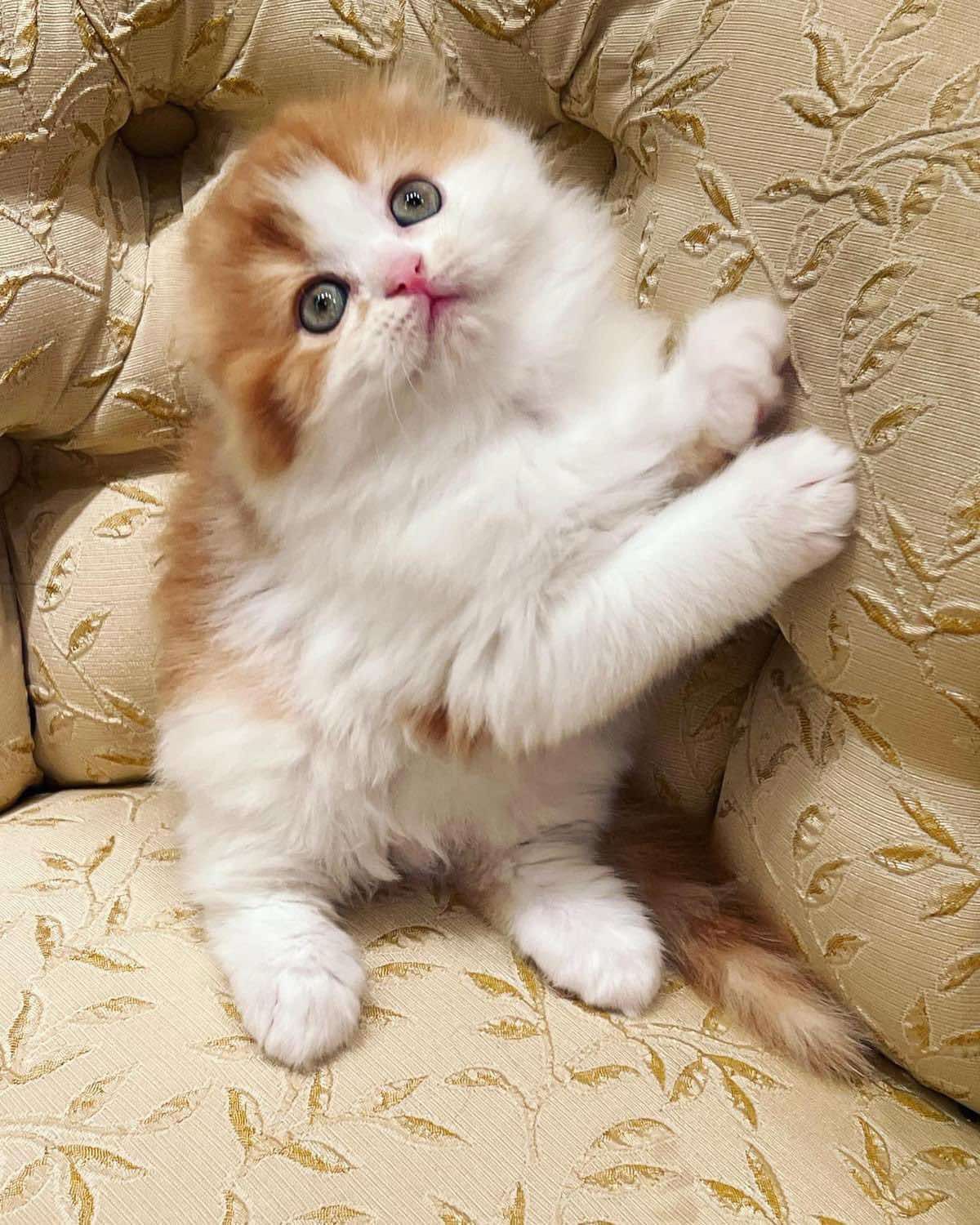 WhatsApp Image 2023-11-18 at 15.41.53 (1)