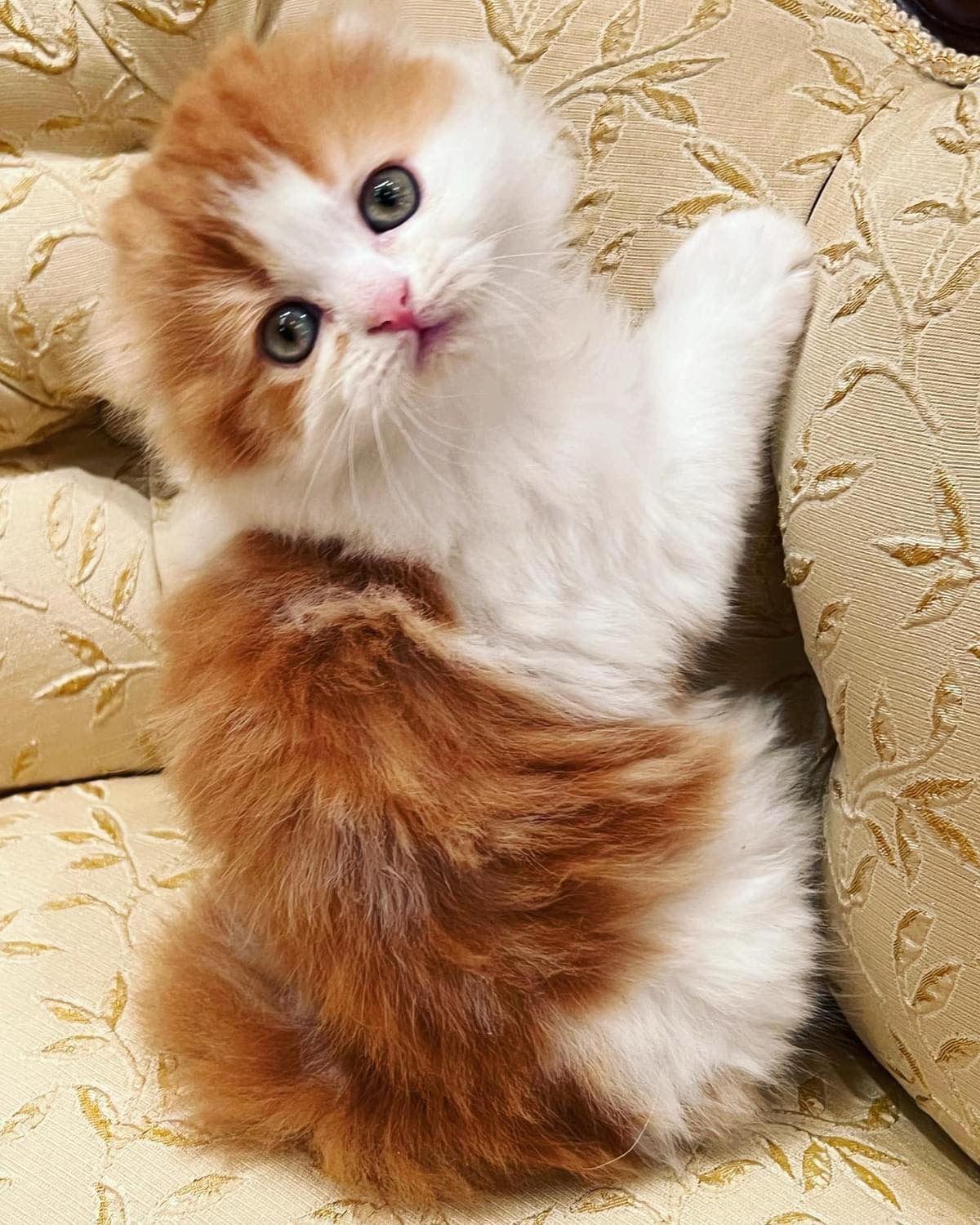 WhatsApp Image 2023-11-18 at 15.41.53