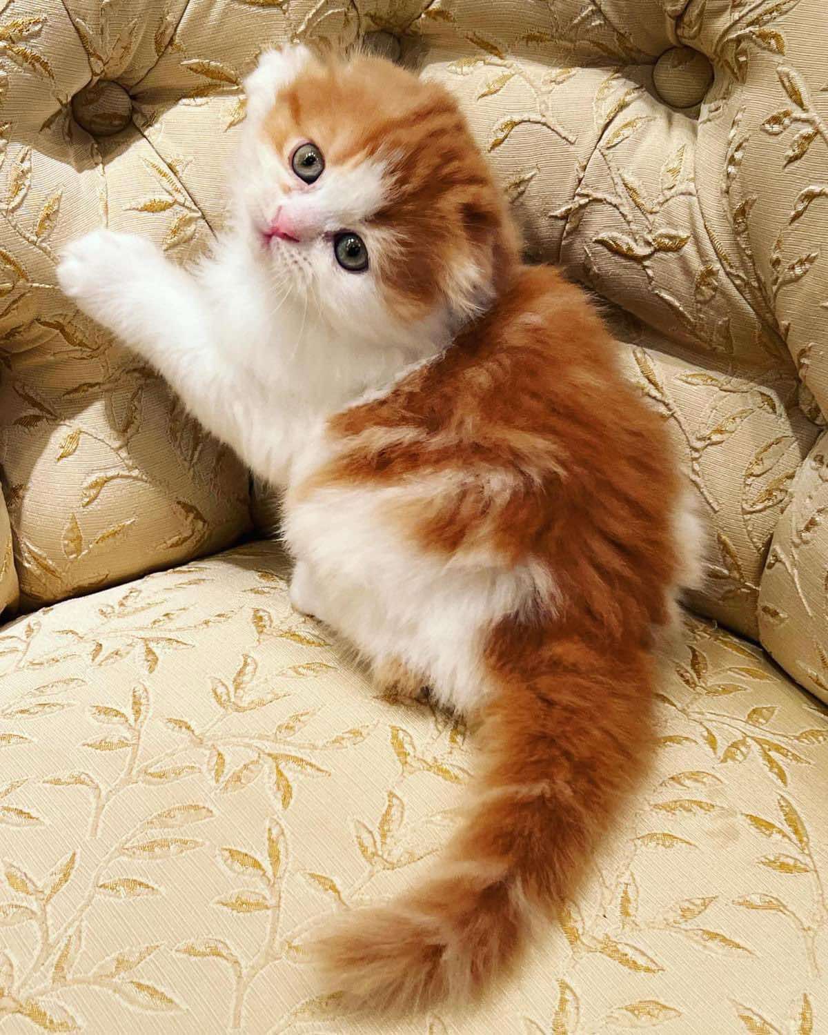 WhatsApp Image 2023-11-18 at 15.41.54