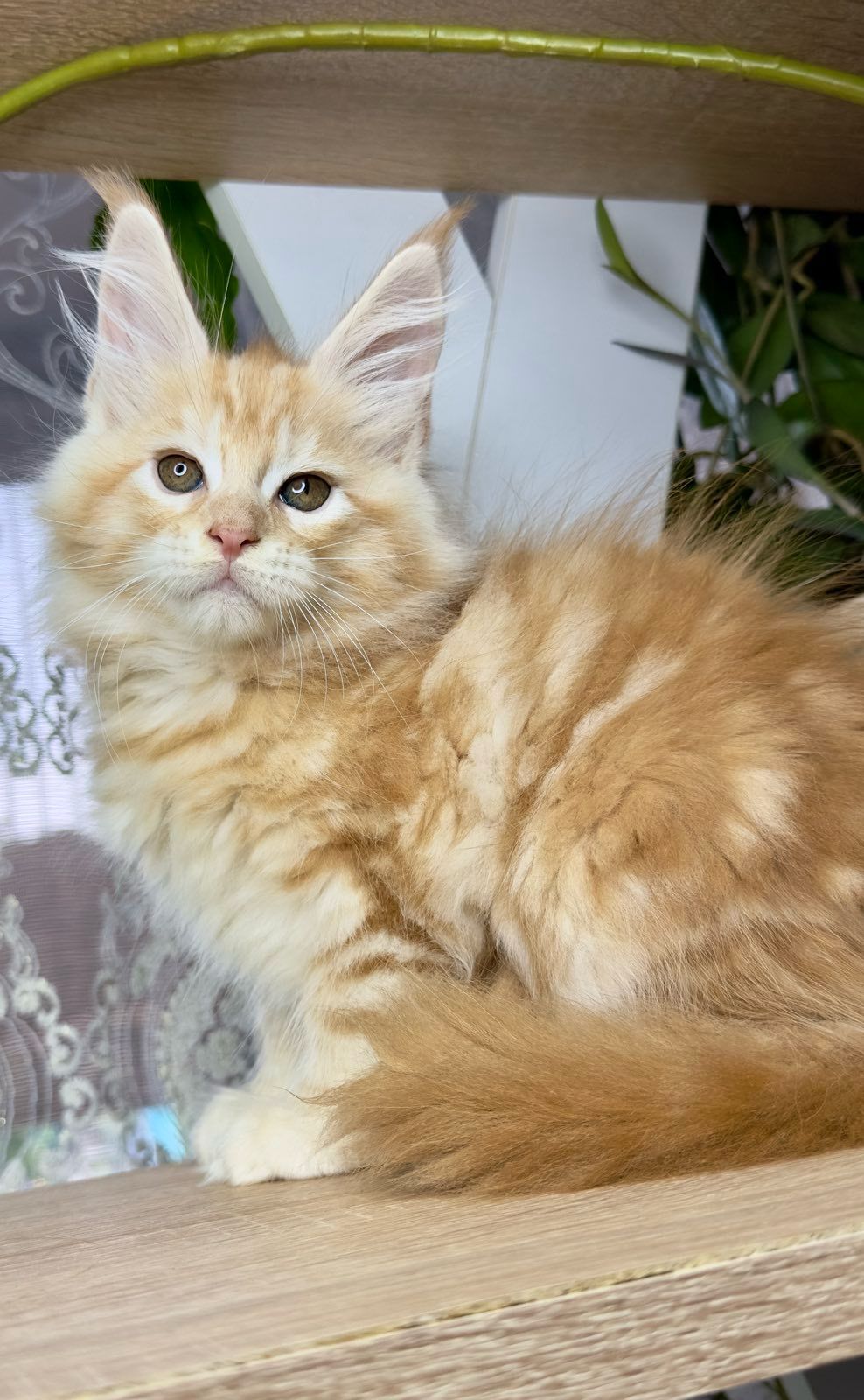 WhatsApp Image 2023-11-18 at 15.50.28