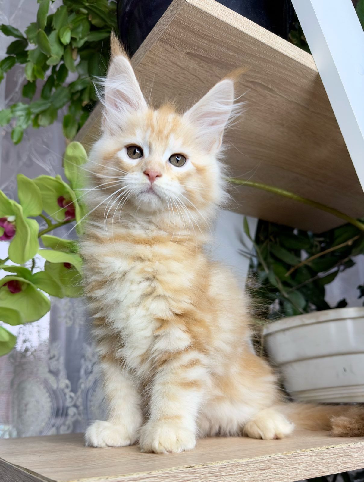 WhatsApp Image 2023-11-18 at 15.50.29 (1)