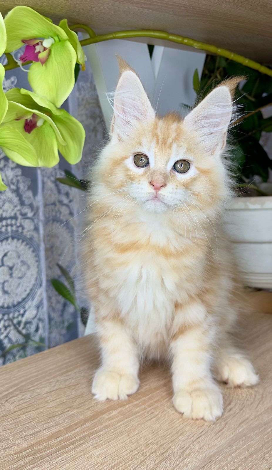 WhatsApp Image 2023-11-18 at 15.50.29