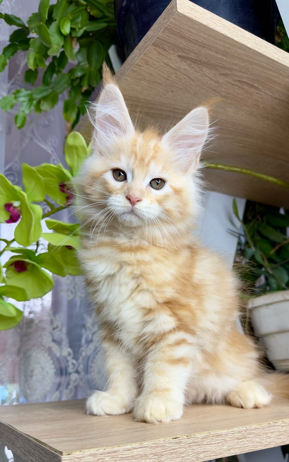 WhatsApp Image 2023-11-18 at 15.50.30 (1)