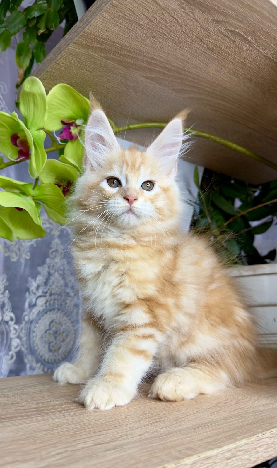 WhatsApp Image 2023-11-18 at 15.50.30