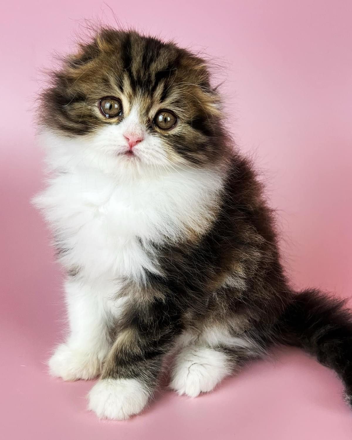 WhatsApp Image 2023-11-18 at 15.56.54 (1)