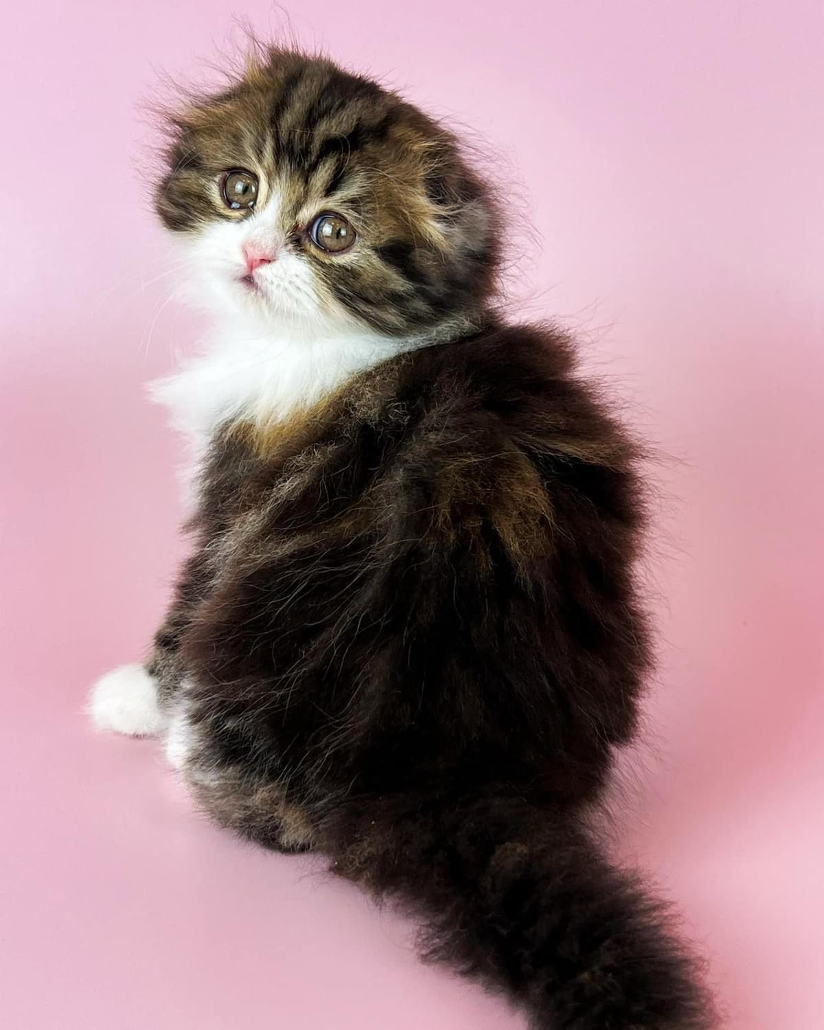 WhatsApp Image 2023-11-18 at 15.56.54