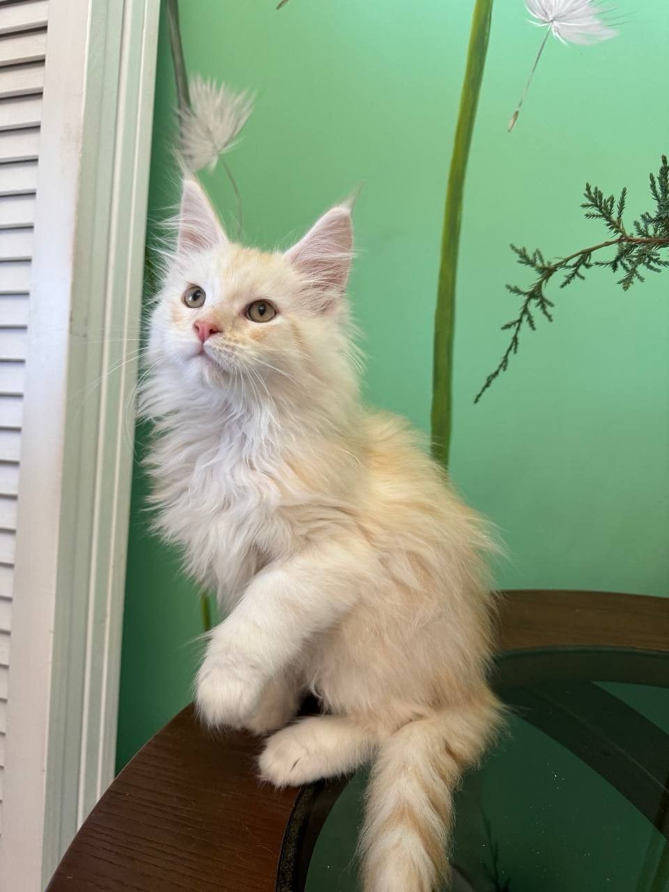 WhatsApp Image 2023-11-18 at 16.05.46