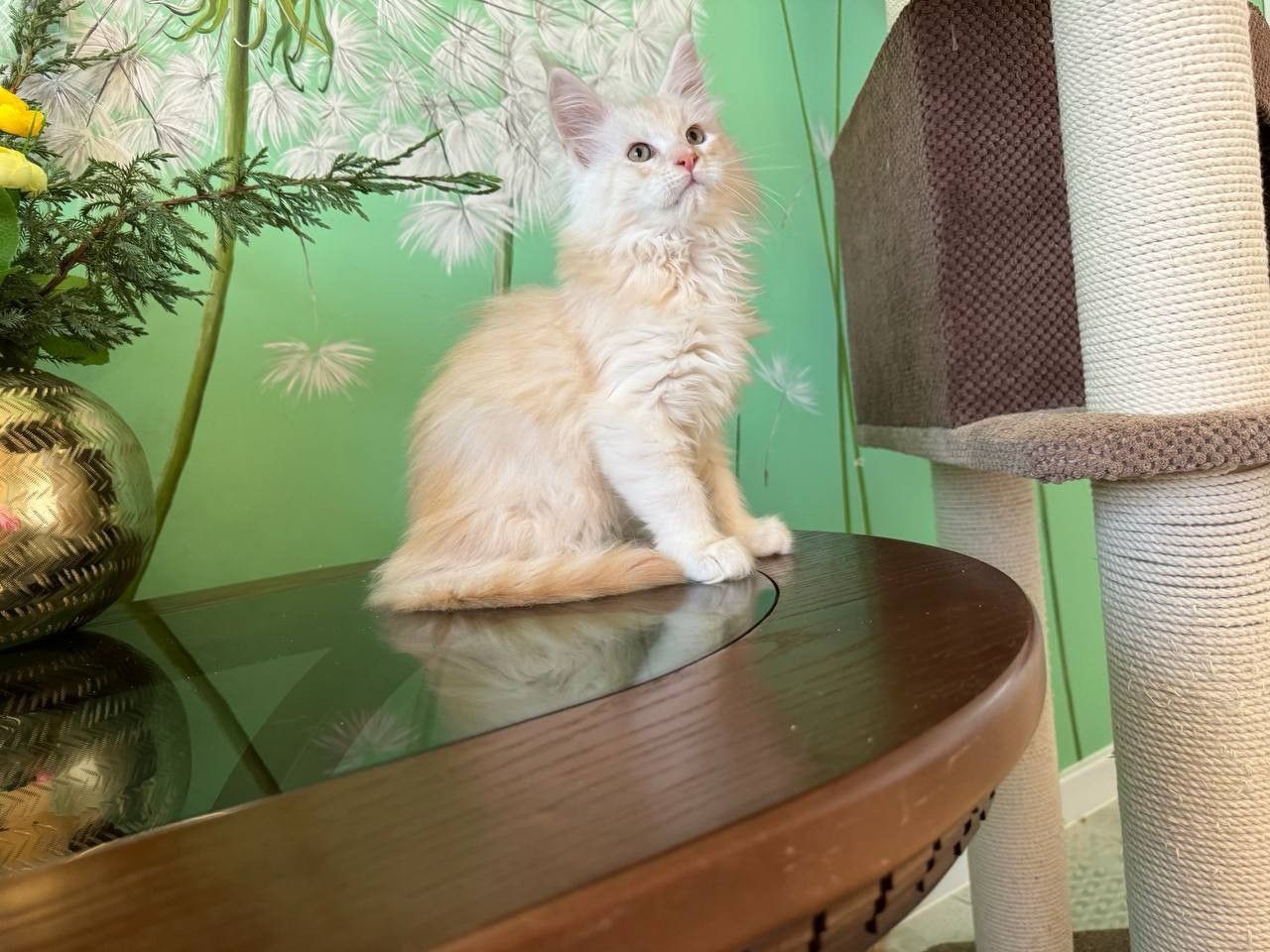 WhatsApp Image 2023-11-18 at 16.05.47