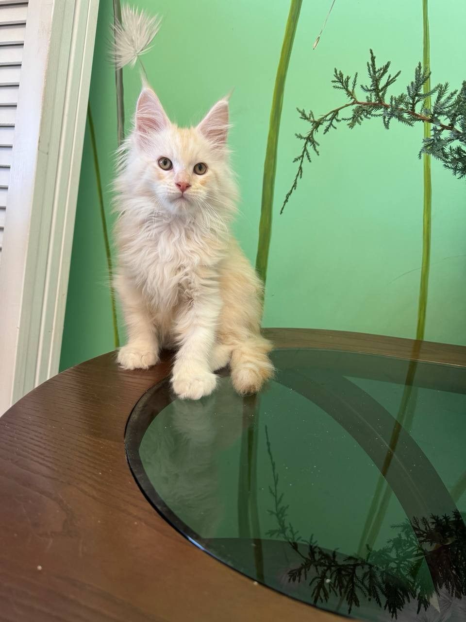 WhatsApp Image 2023-11-18 at 16.05.48 (1)