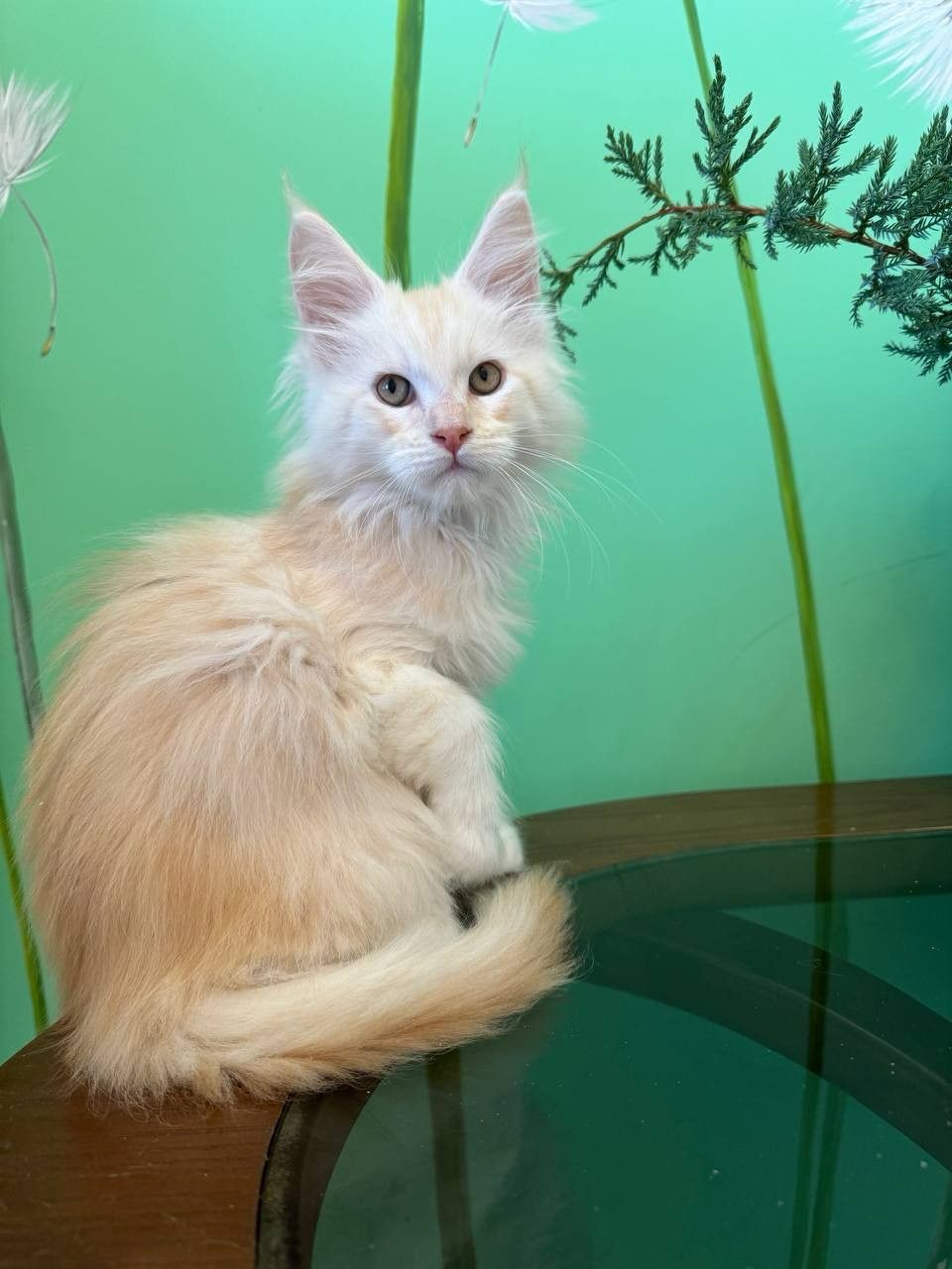 WhatsApp Image 2023-11-18 at 16.05.48