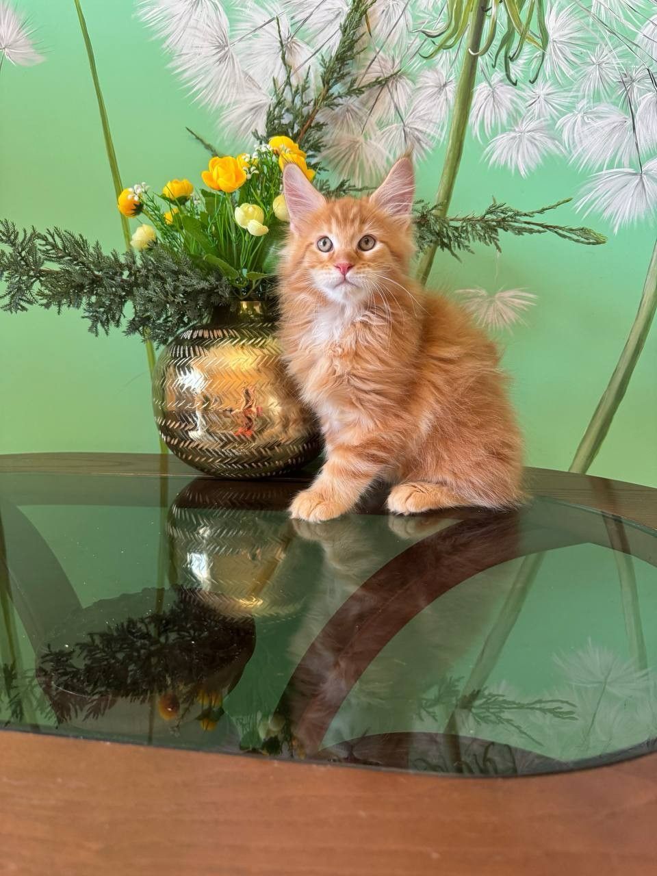 WhatsApp Image 2023-11-18 at 16.07.18