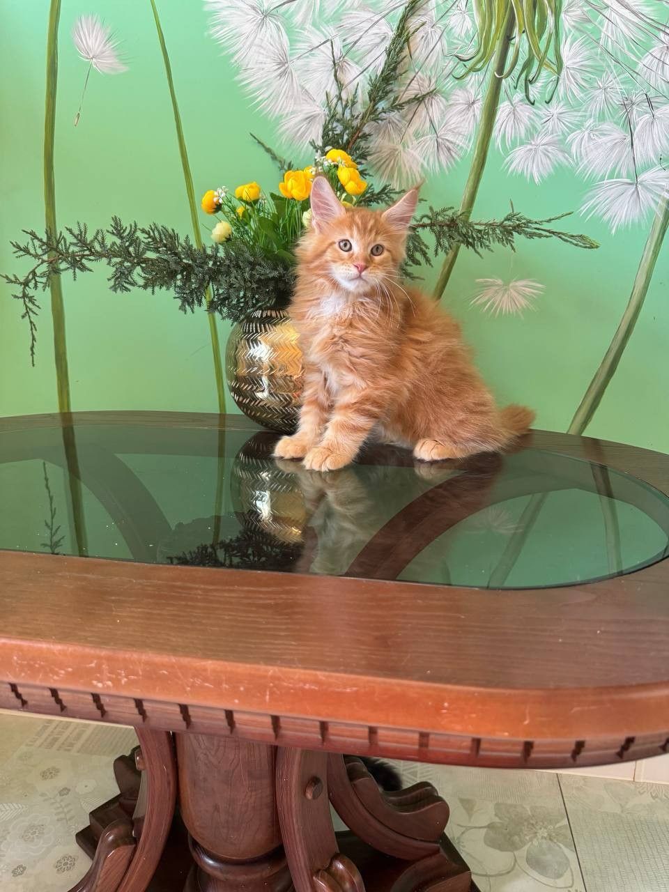 WhatsApp Image 2023-11-18 at 16.07.19