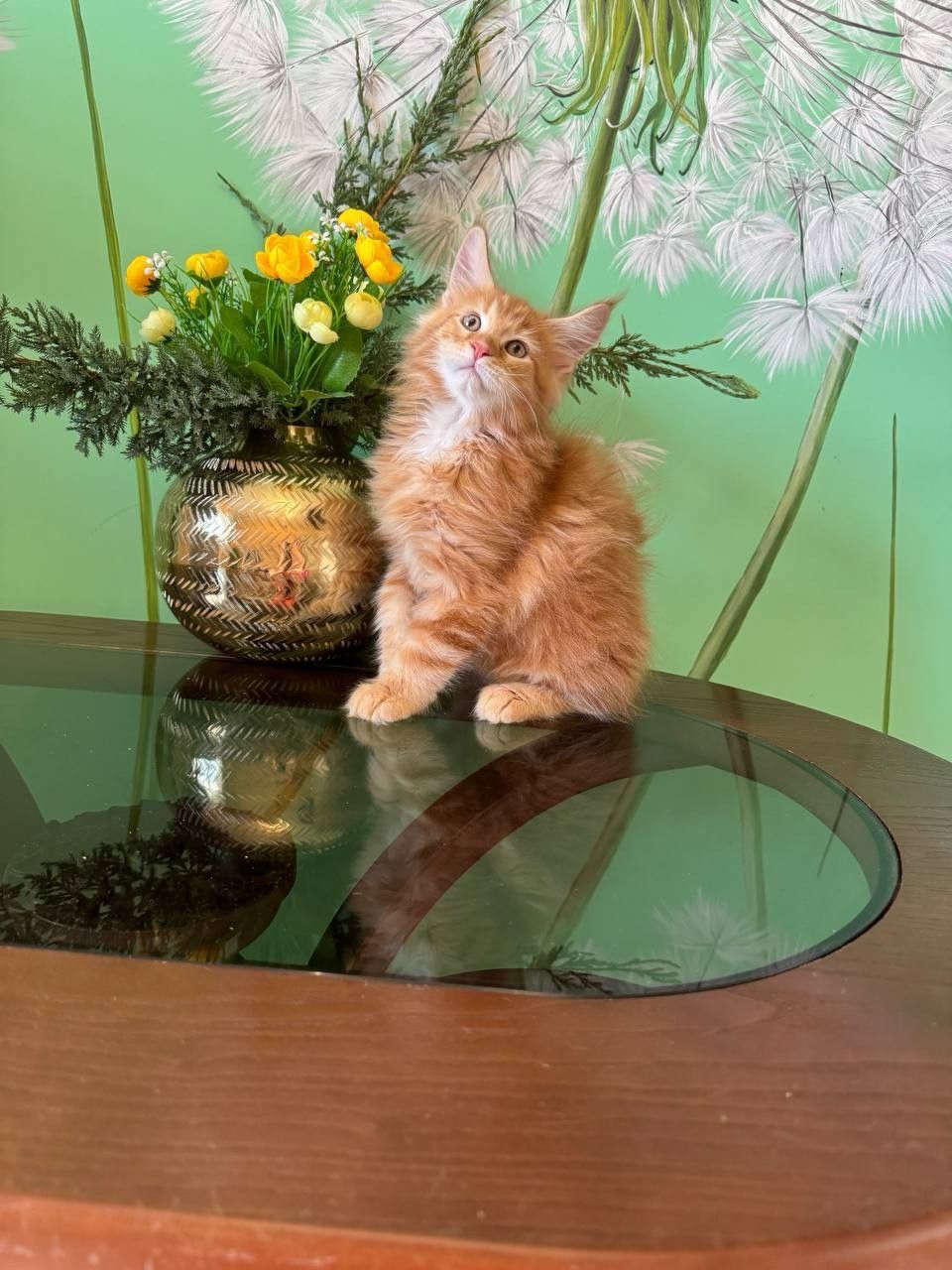 WhatsApp Image 2023-11-18 at 16.07.20