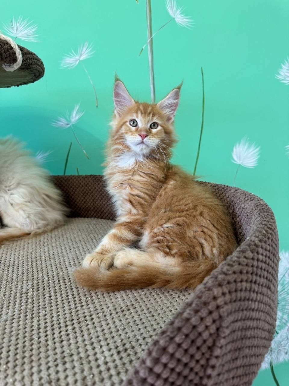 WhatsApp Image 2023-11-18 at 16.07.21 (1)