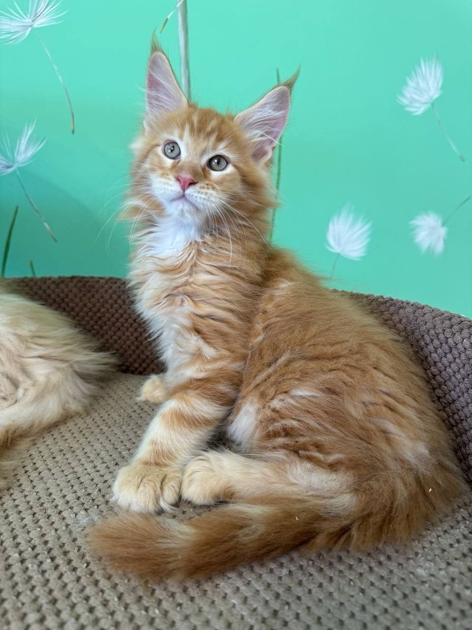 WhatsApp Image 2023-11-18 at 16.07.21