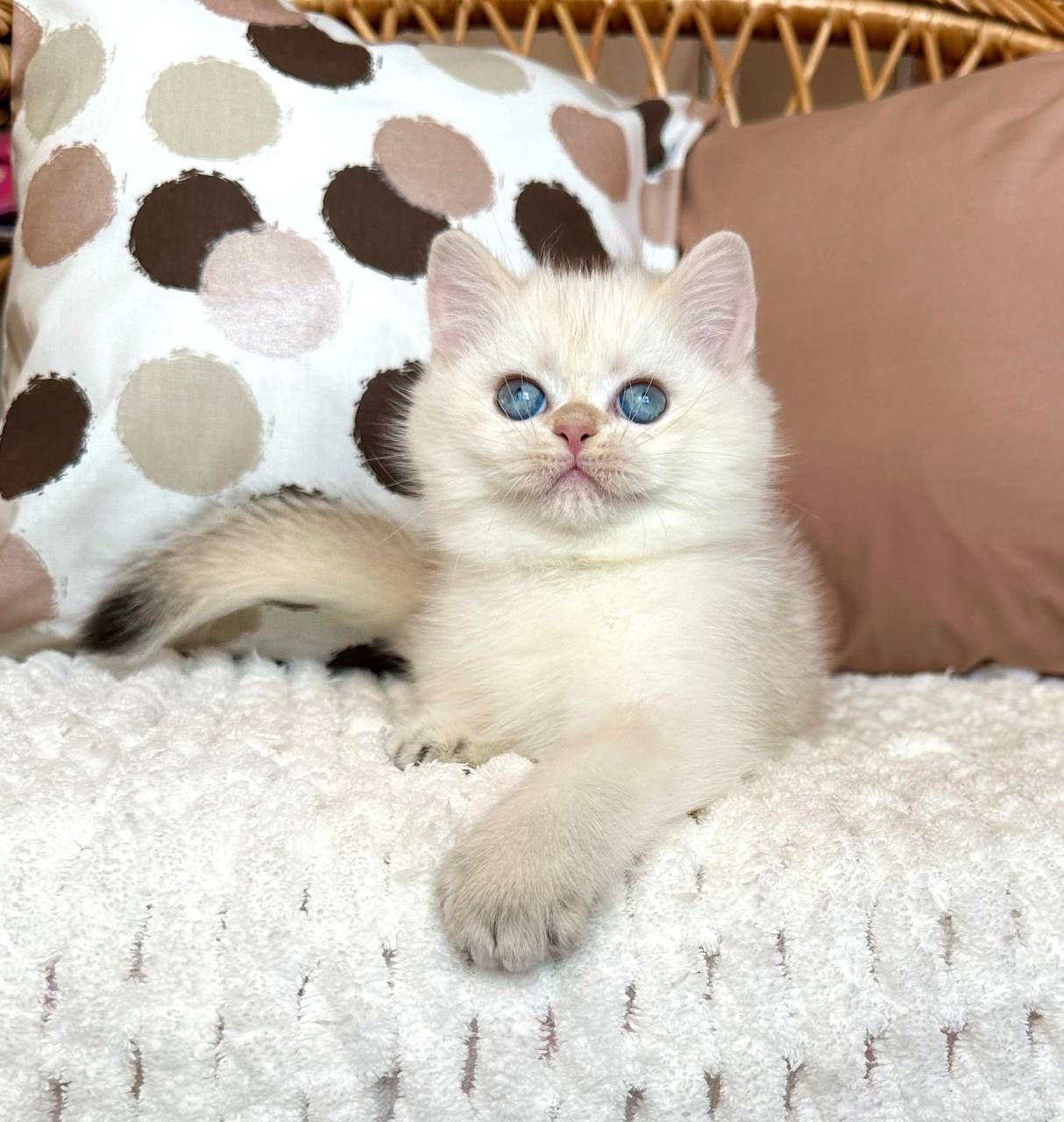 WhatsApp Image 2023-11-18 at 16.10.59 (1)