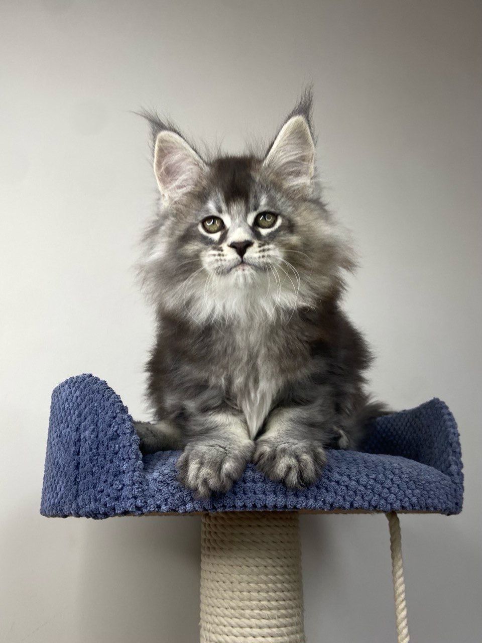 WhatsApp Image 2023-11-18 at 16.18.43