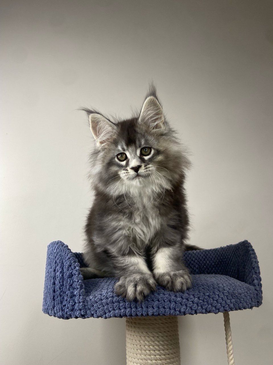 WhatsApp Image 2023-11-18 at 16.18.45 (1)