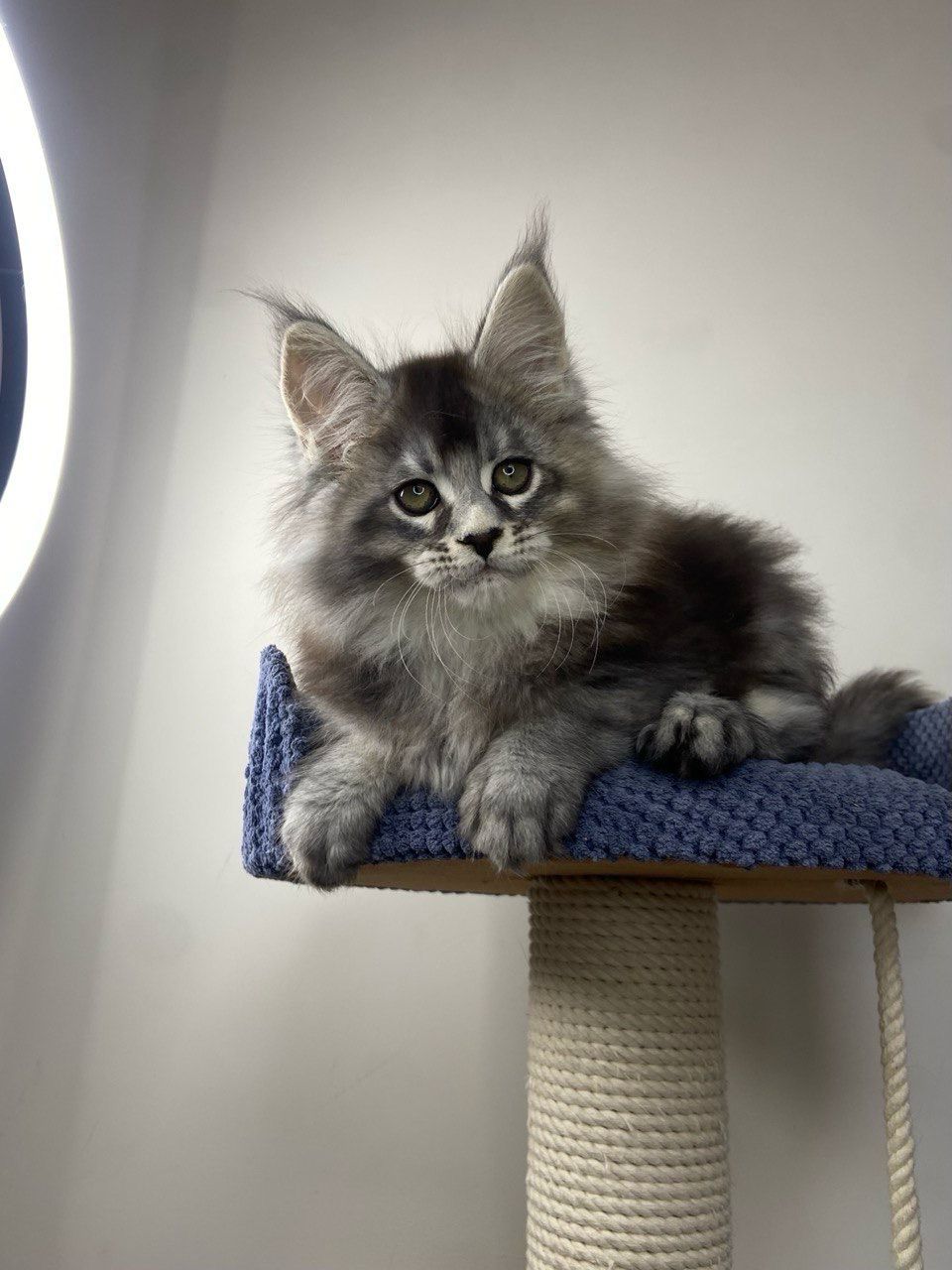 WhatsApp Image 2023-11-18 at 16.18.45