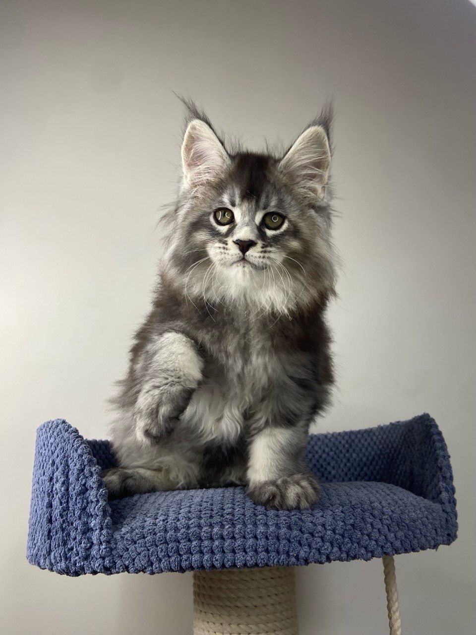 WhatsApp Image 2023-11-18 at 16.18.46