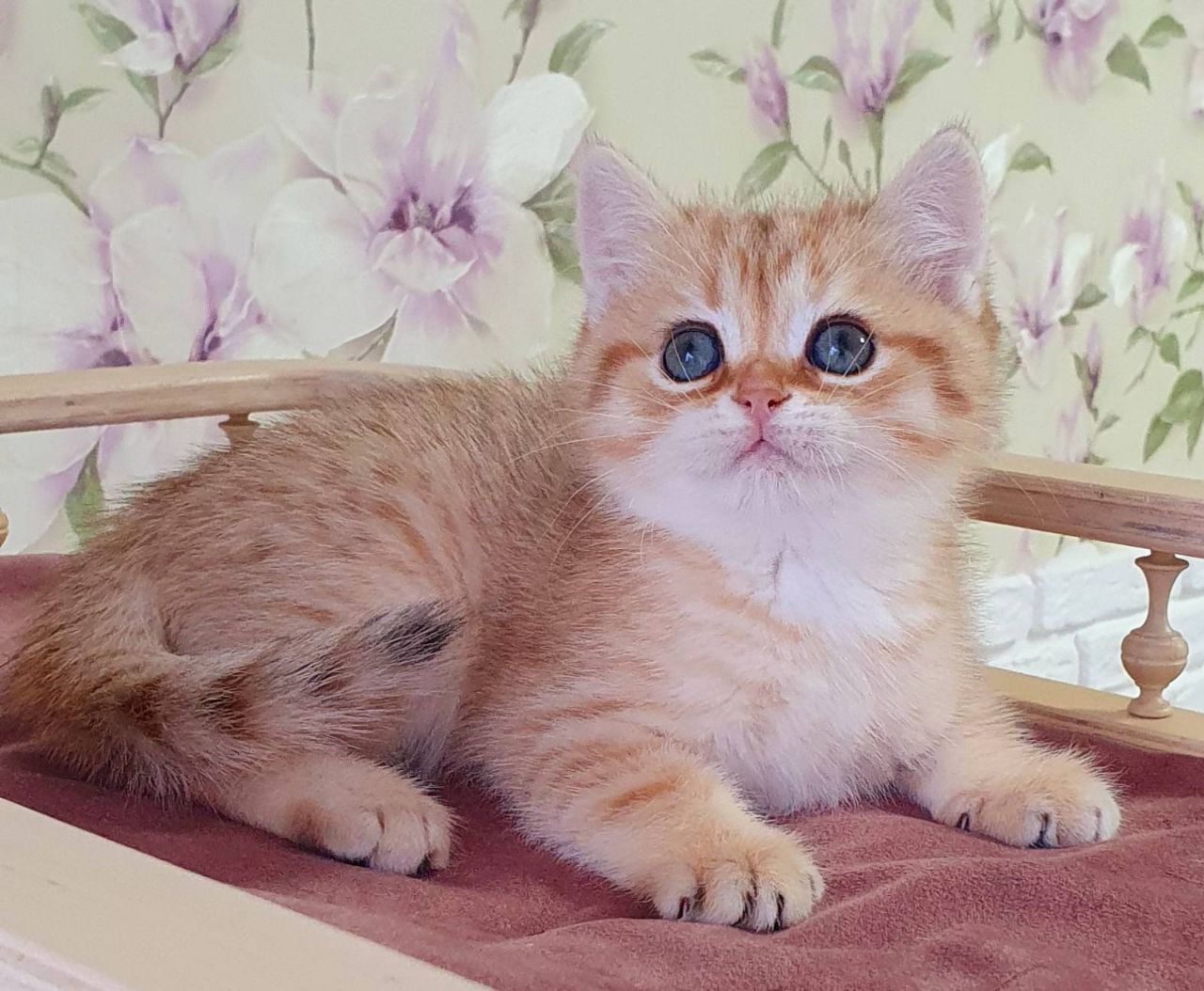 WhatsApp Image 2023-11-18 at 16.23.25