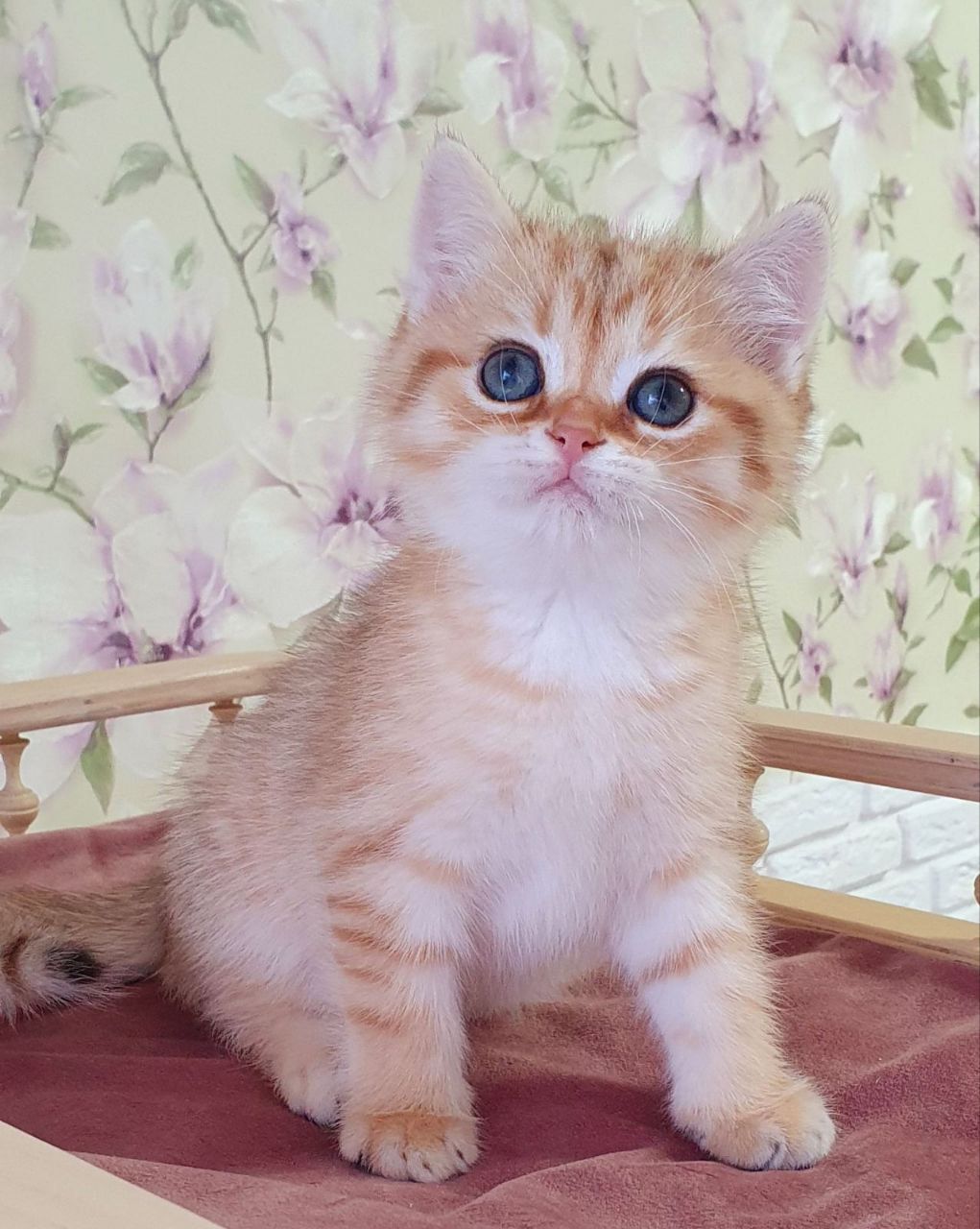 WhatsApp Image 2023-11-18 at 16.23.26 (1)