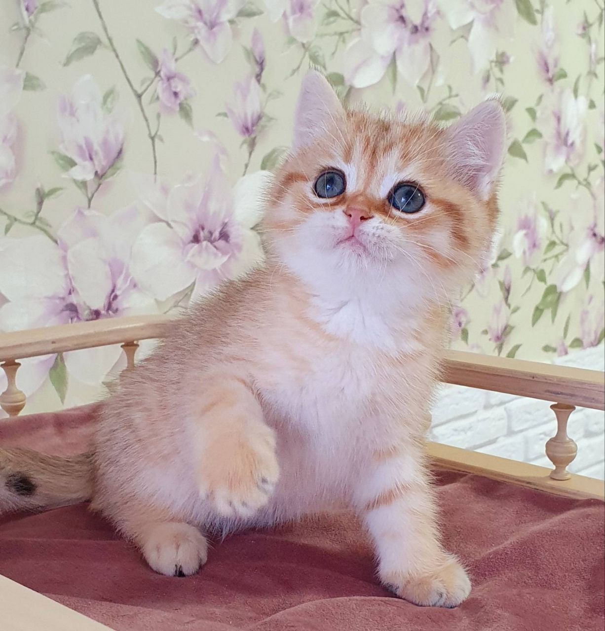 WhatsApp Image 2023-11-18 at 16.23.26