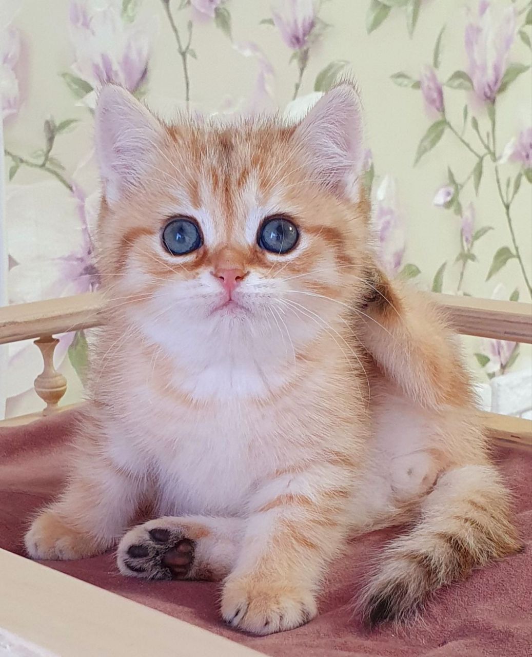 WhatsApp Image 2023-11-18 at 16.23.28