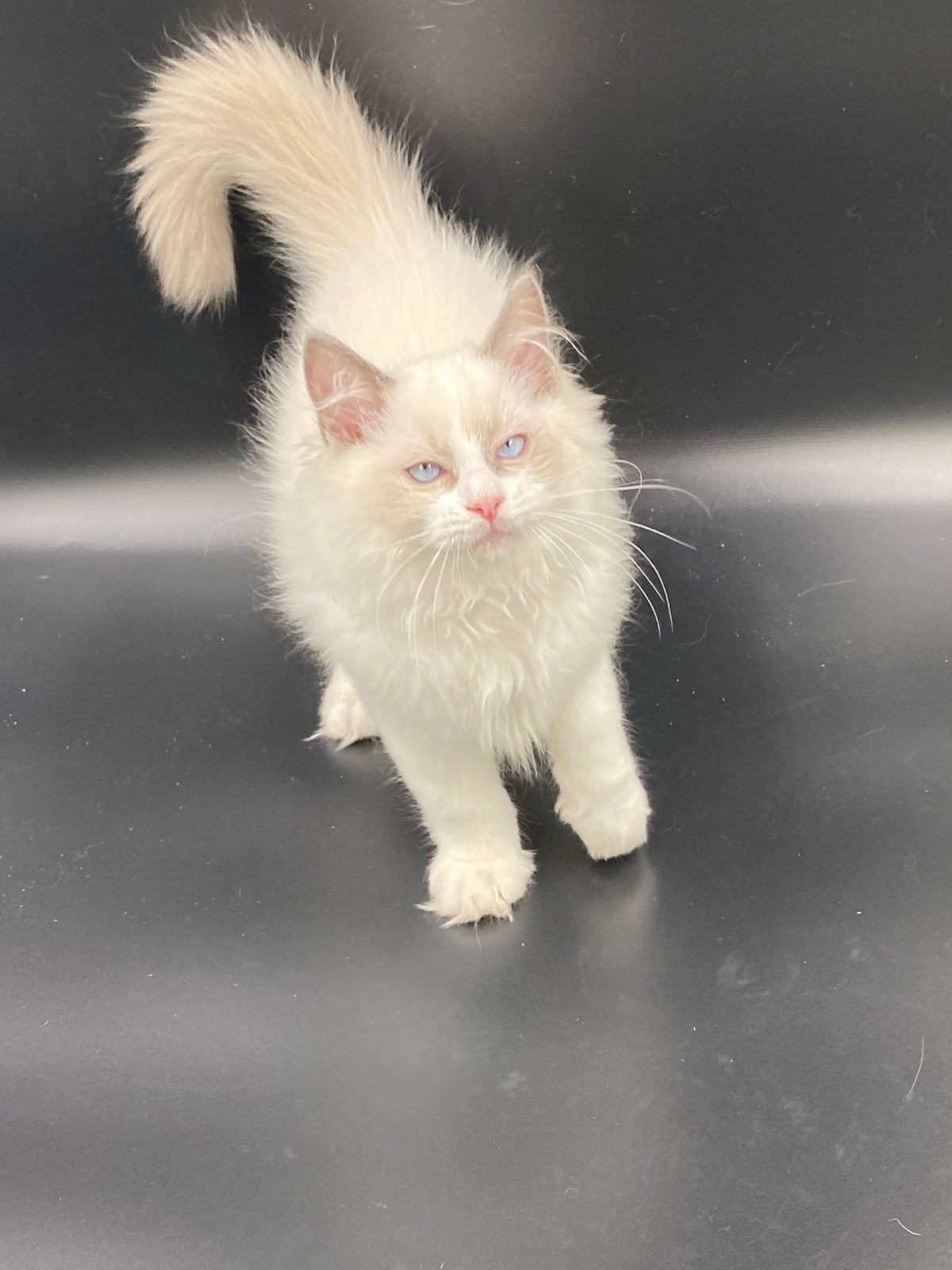 WhatsApp Image 2023-11-19 at 11.07.35 (1)