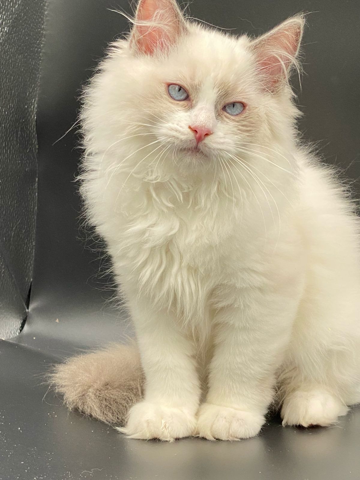 WhatsApp Image 2023-11-19 at 11.07.35