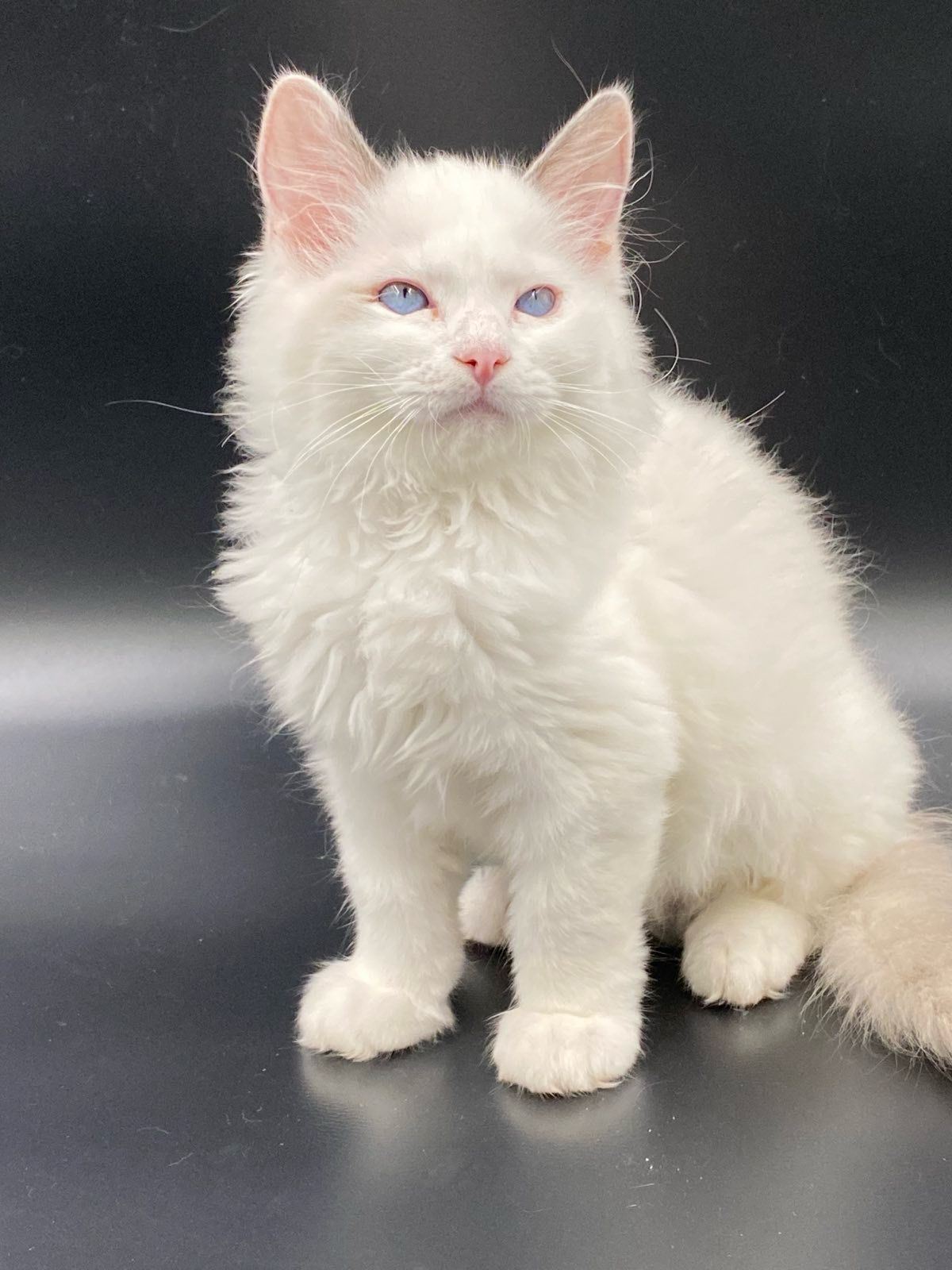 WhatsApp Image 2023-11-19 at 11.09.25