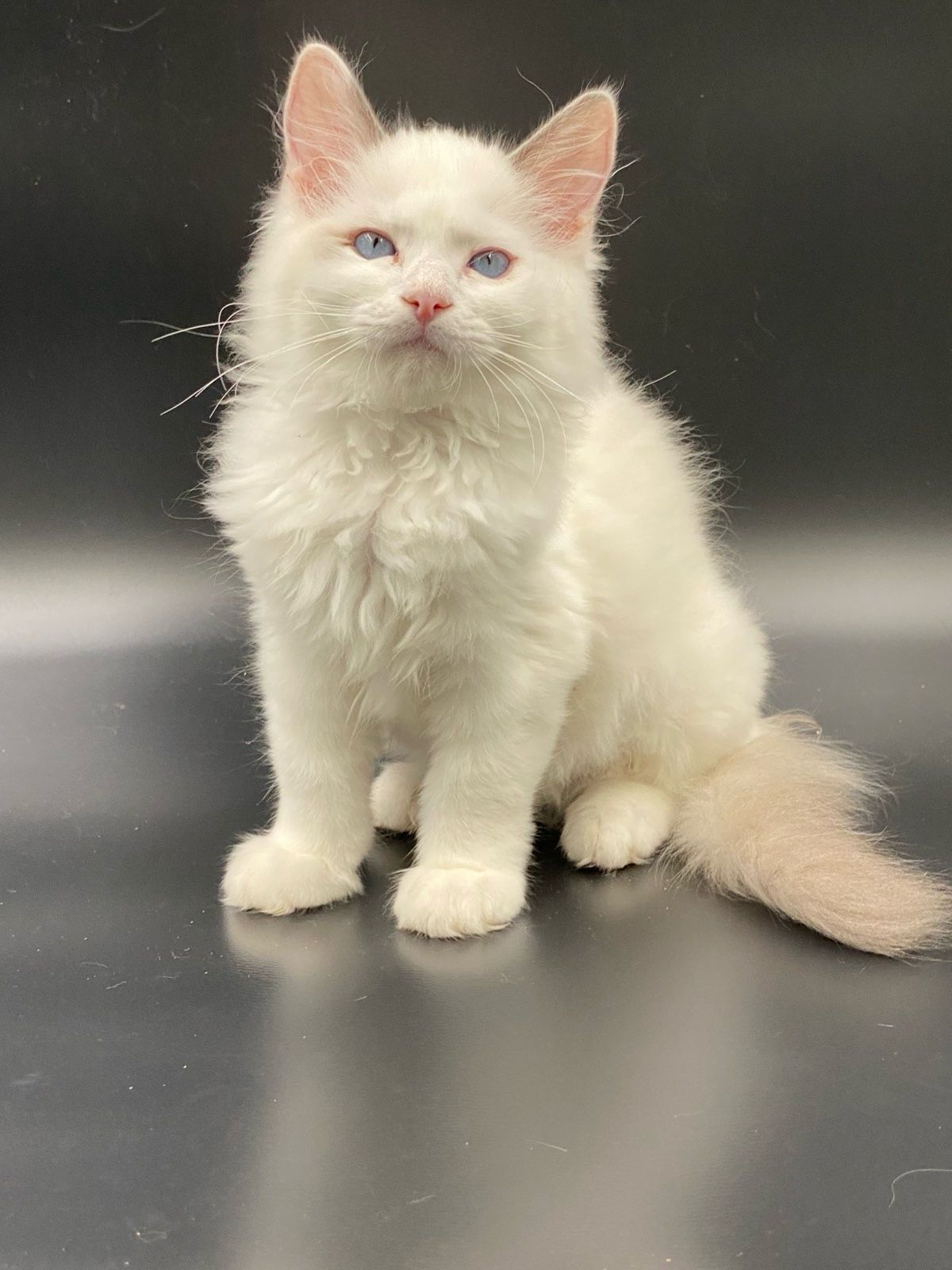 WhatsApp Image 2023-11-19 at 11.09.26