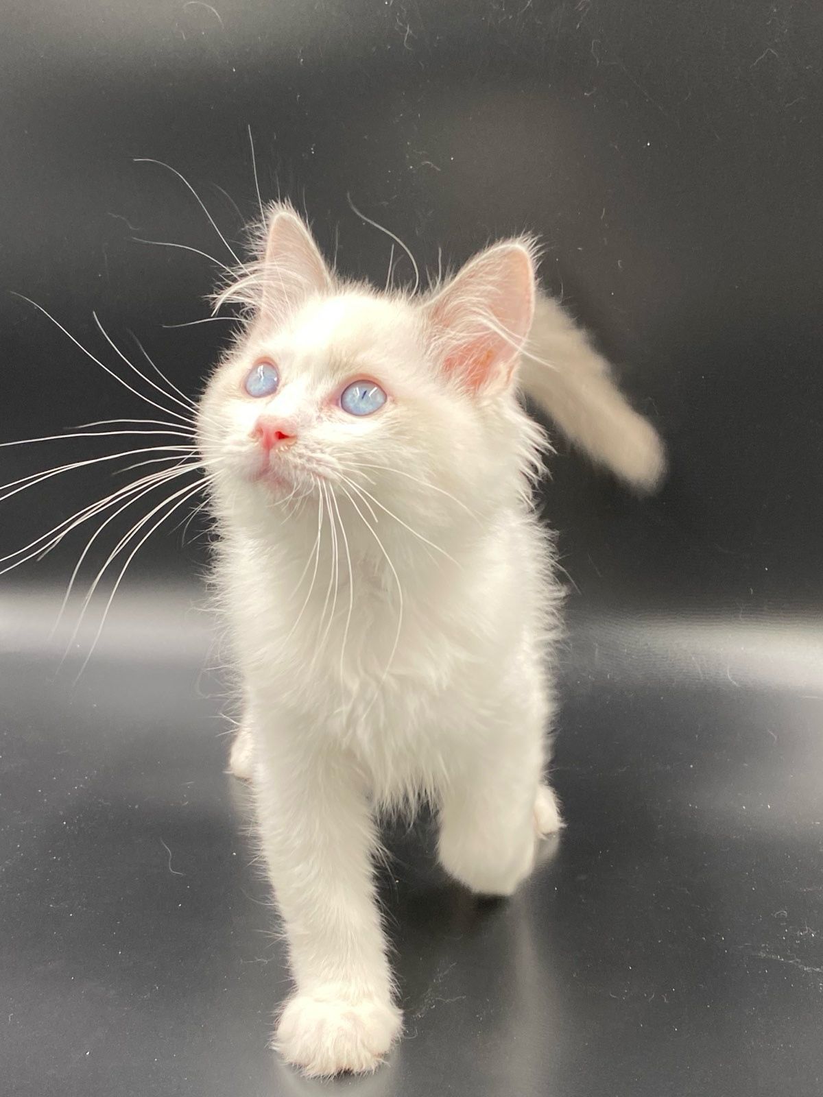 WhatsApp Image 2023-11-19 at 11.09.59 (1)