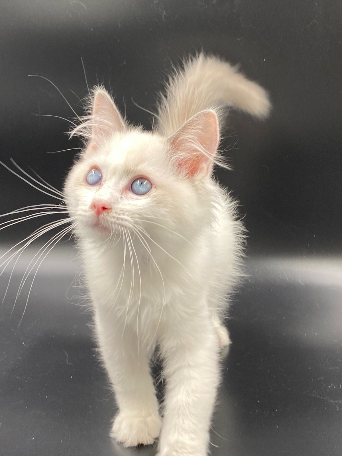 WhatsApp Image 2023-11-19 at 11.09.59