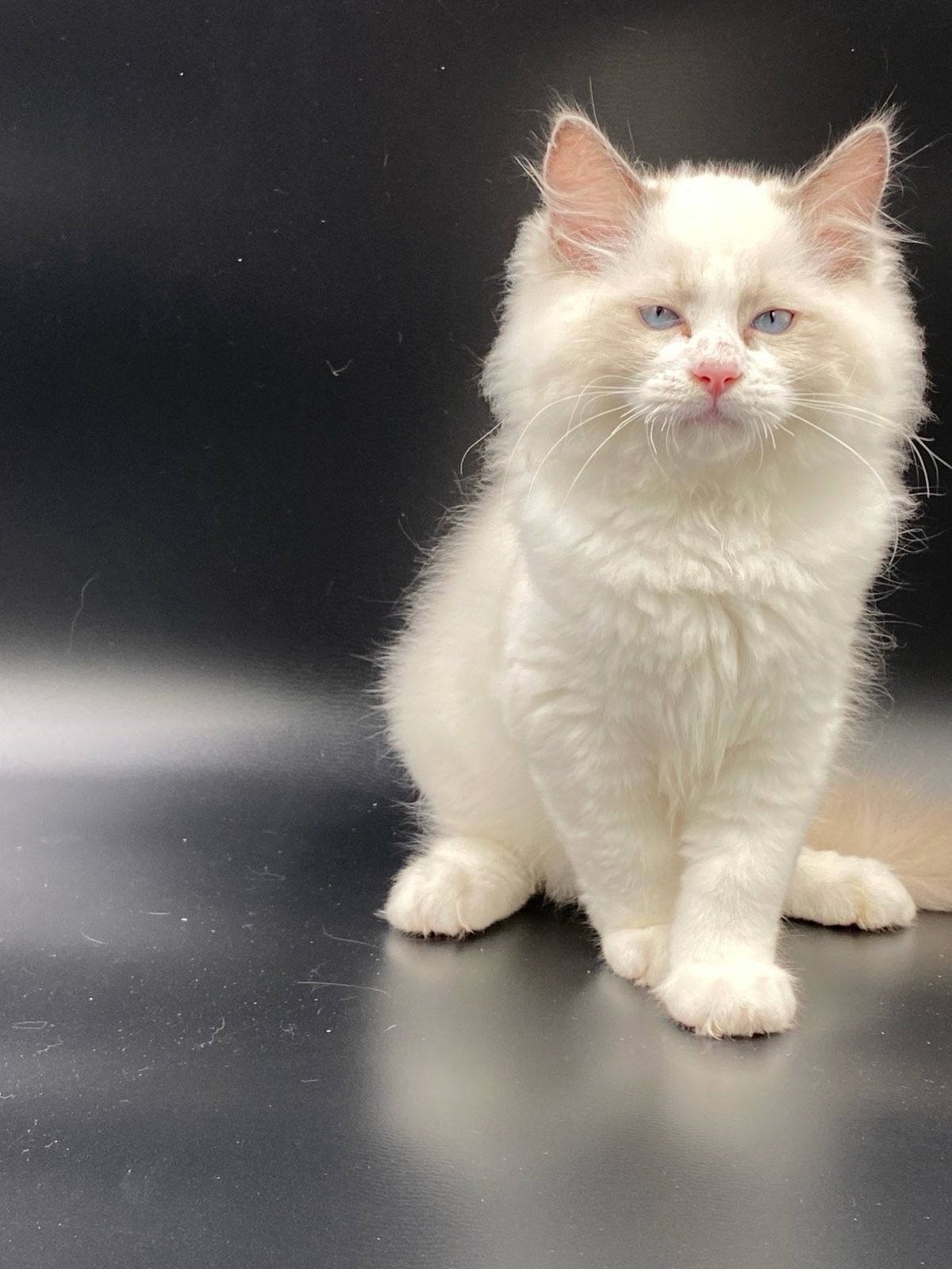 WhatsApp Image 2023-11-19 at 11.10.48