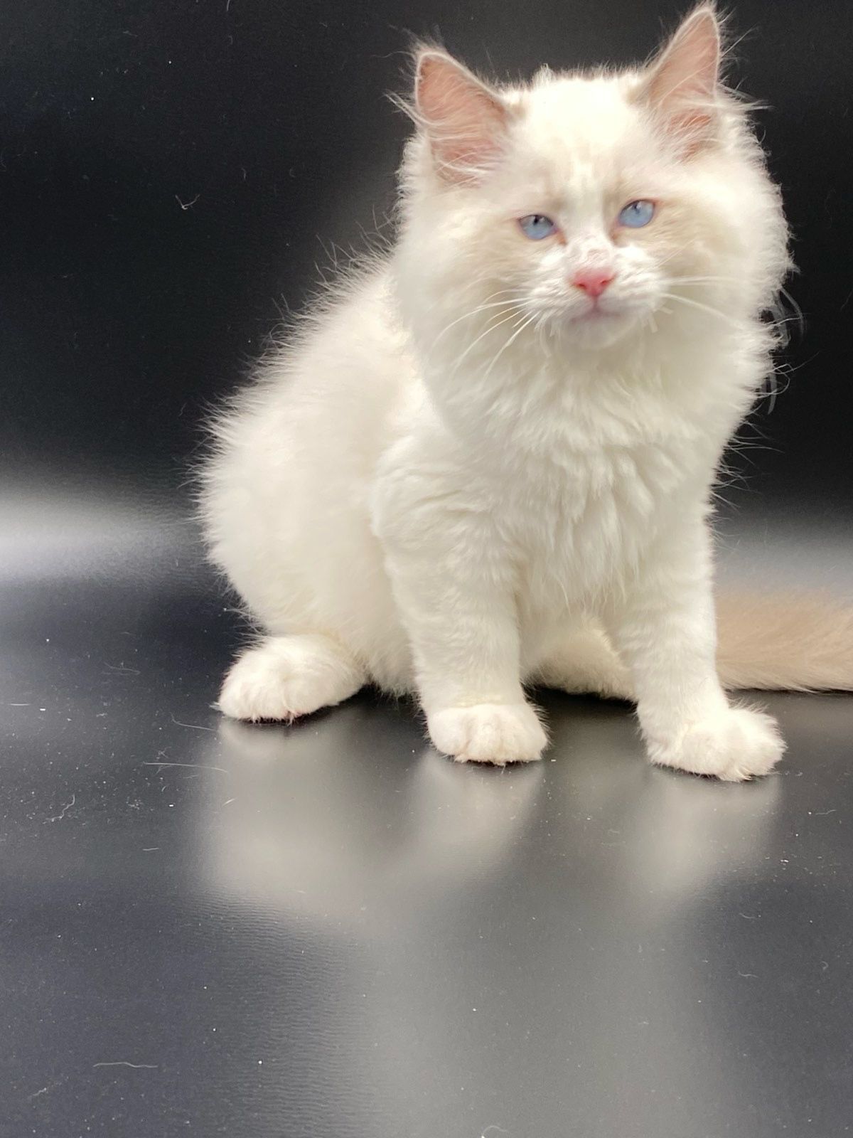 WhatsApp Image 2023-11-19 at 11.10.50 (1)