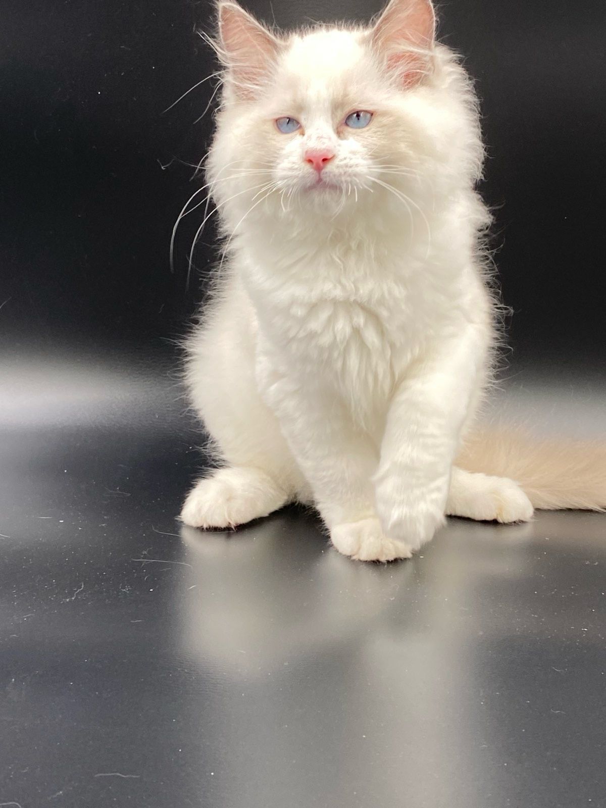 WhatsApp Image 2023-11-19 at 11.10.50