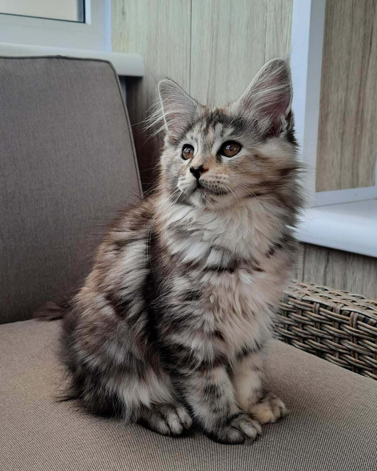 WhatsApp Image 2023-11-20 at 13.53.28 (1)