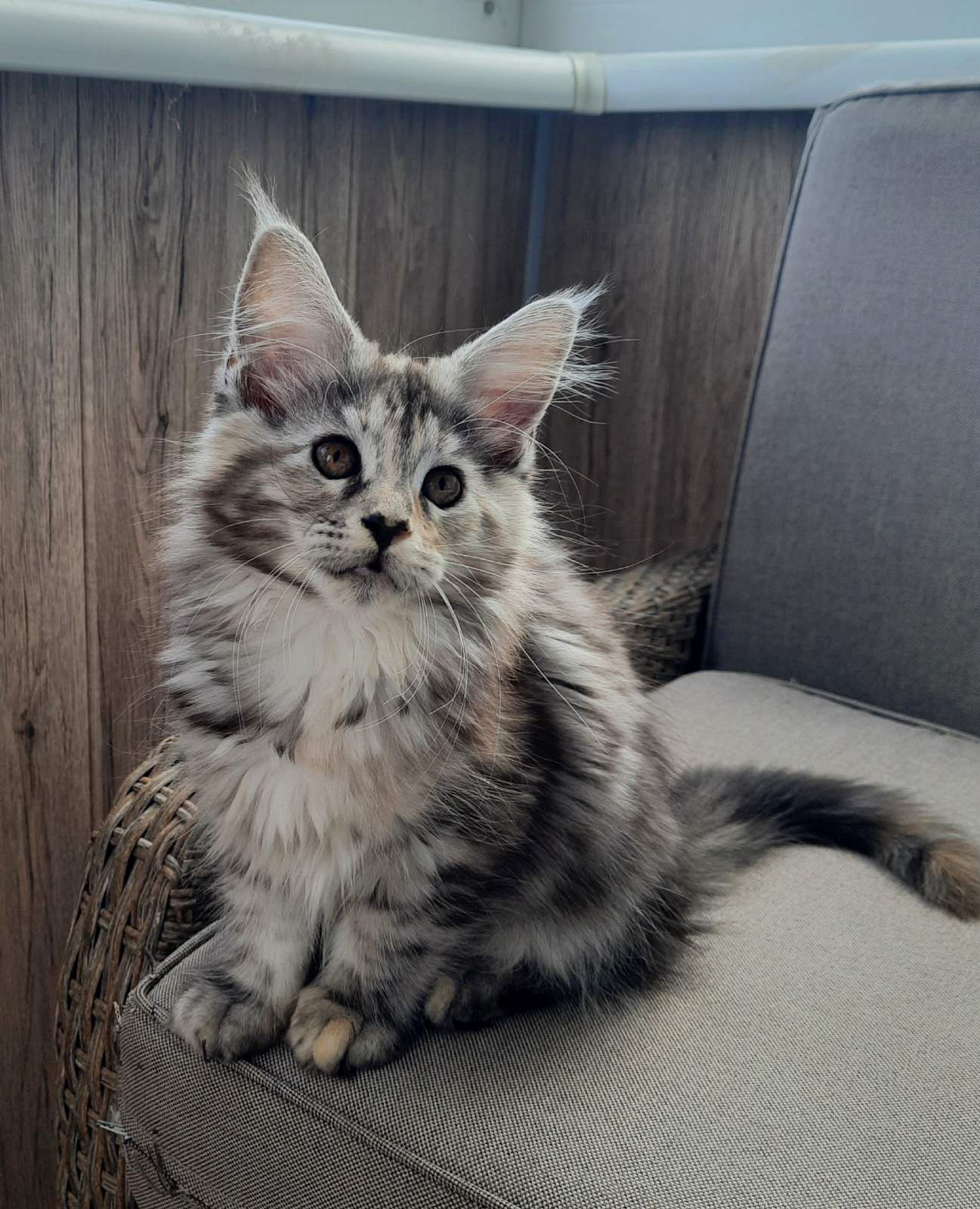 WhatsApp Image 2023-11-20 at 13.53.28 (2)