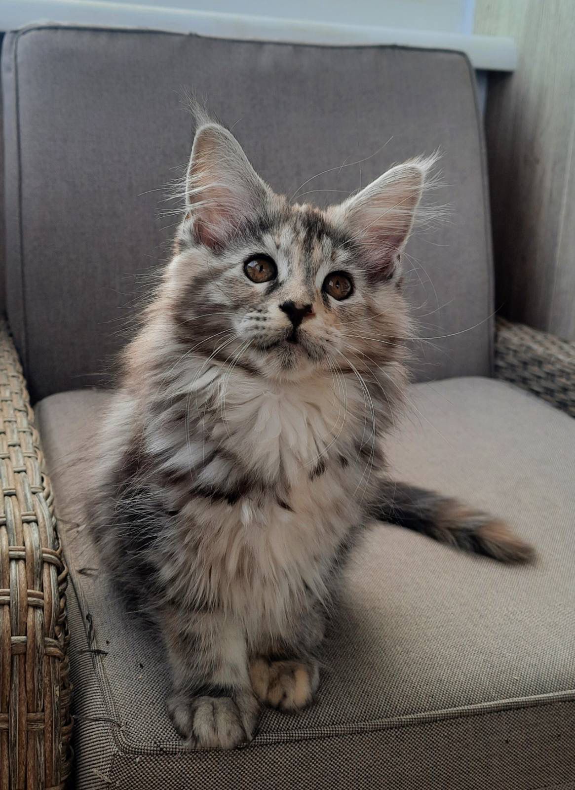 WhatsApp Image 2023-11-20 at 13.53.28 (3)