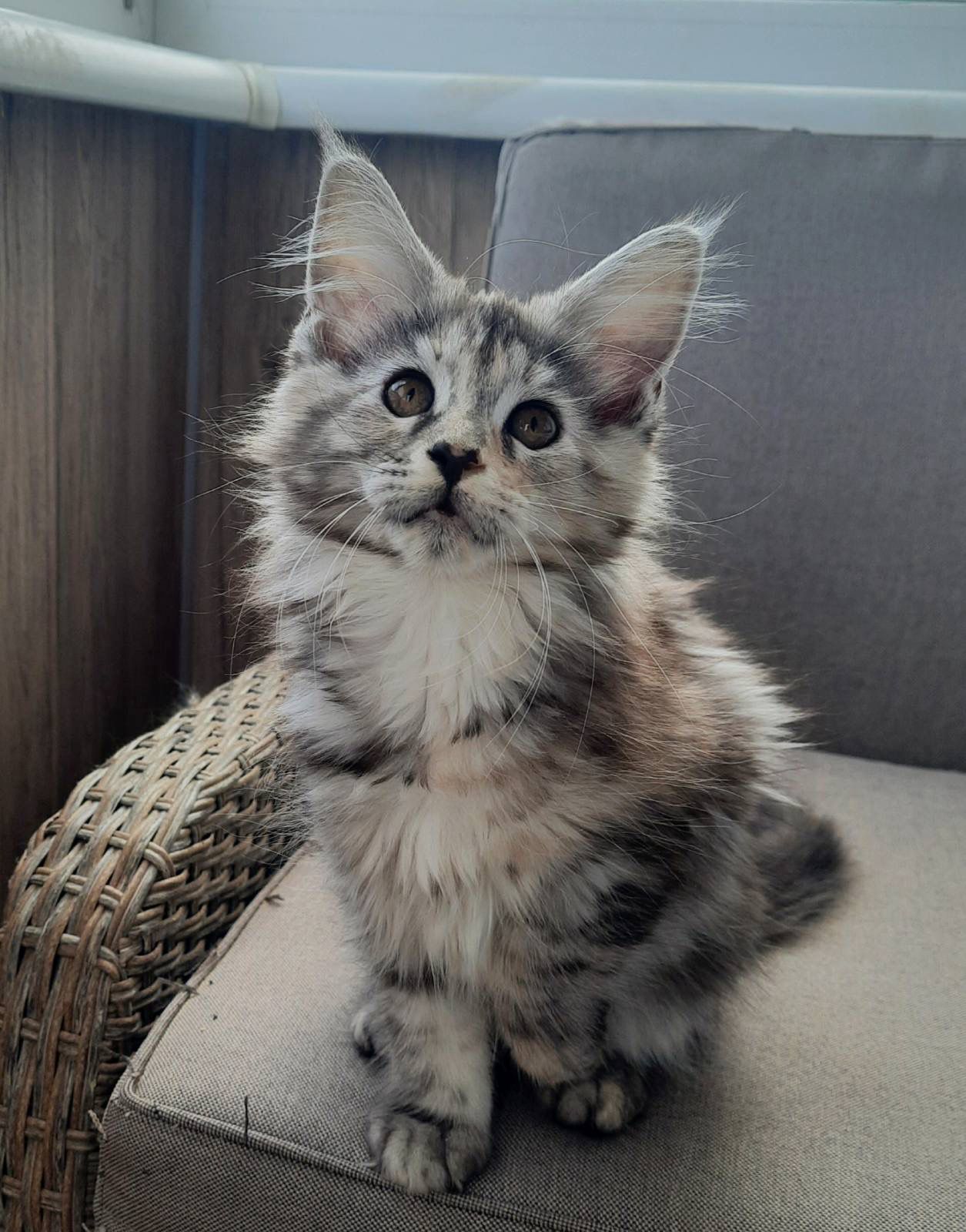 WhatsApp Image 2023-11-20 at 13.53.28 (4)