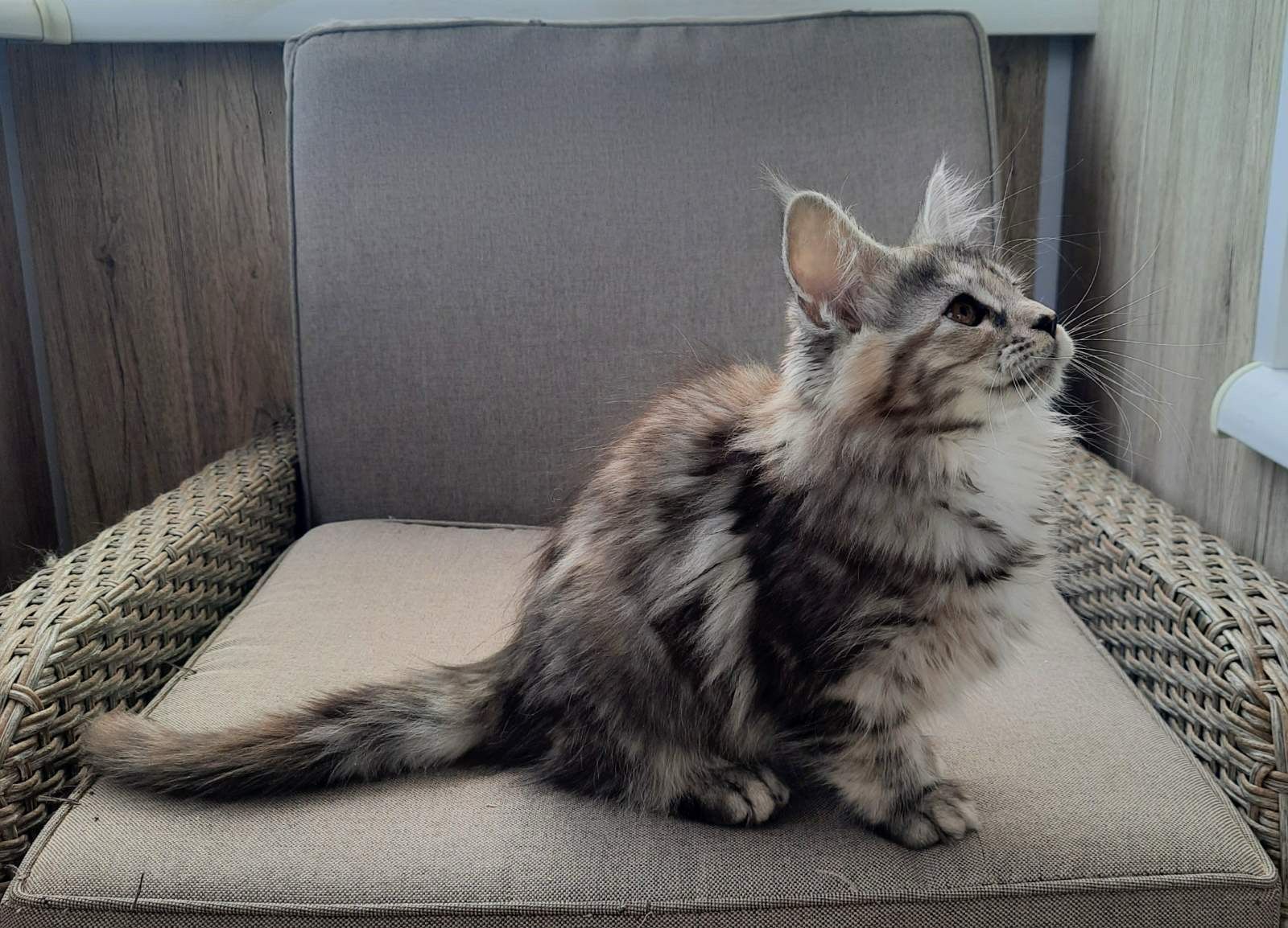 WhatsApp Image 2023-11-20 at 13.53.28