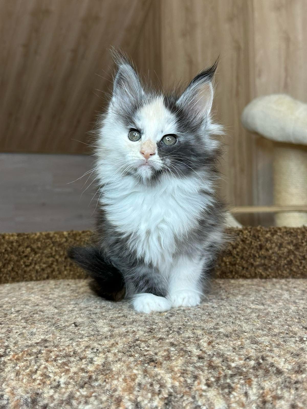 WhatsApp Image 2023-11-20 at 16.13.33 (1)