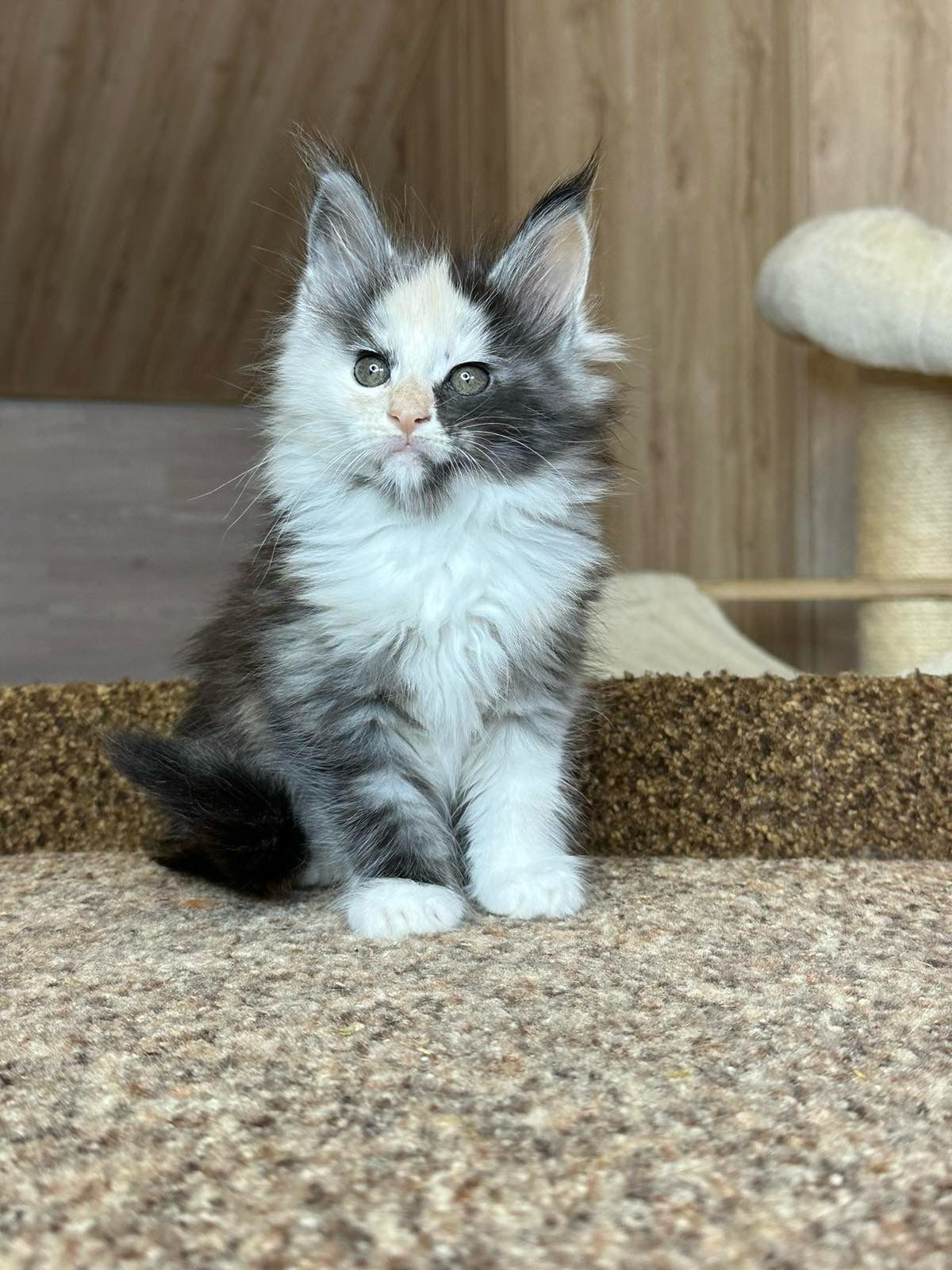 WhatsApp Image 2023-11-20 at 16.13.33 (2)