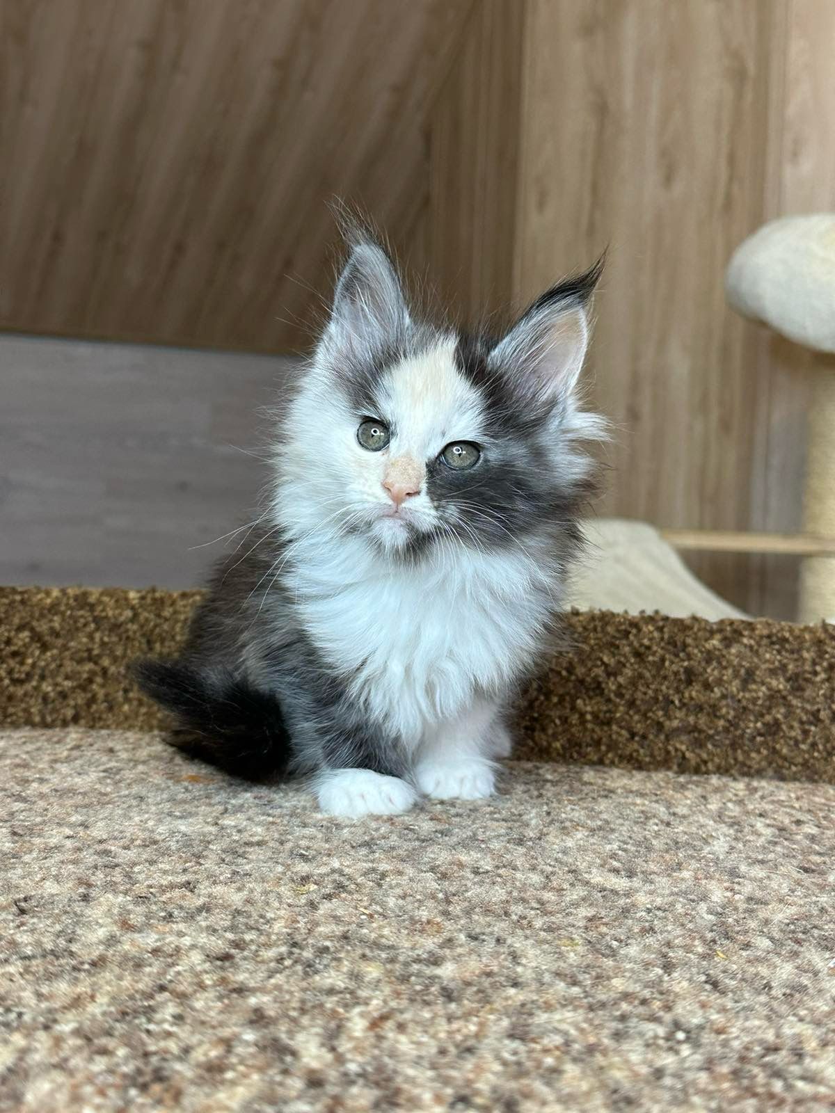 WhatsApp Image 2023-11-20 at 16.13.34