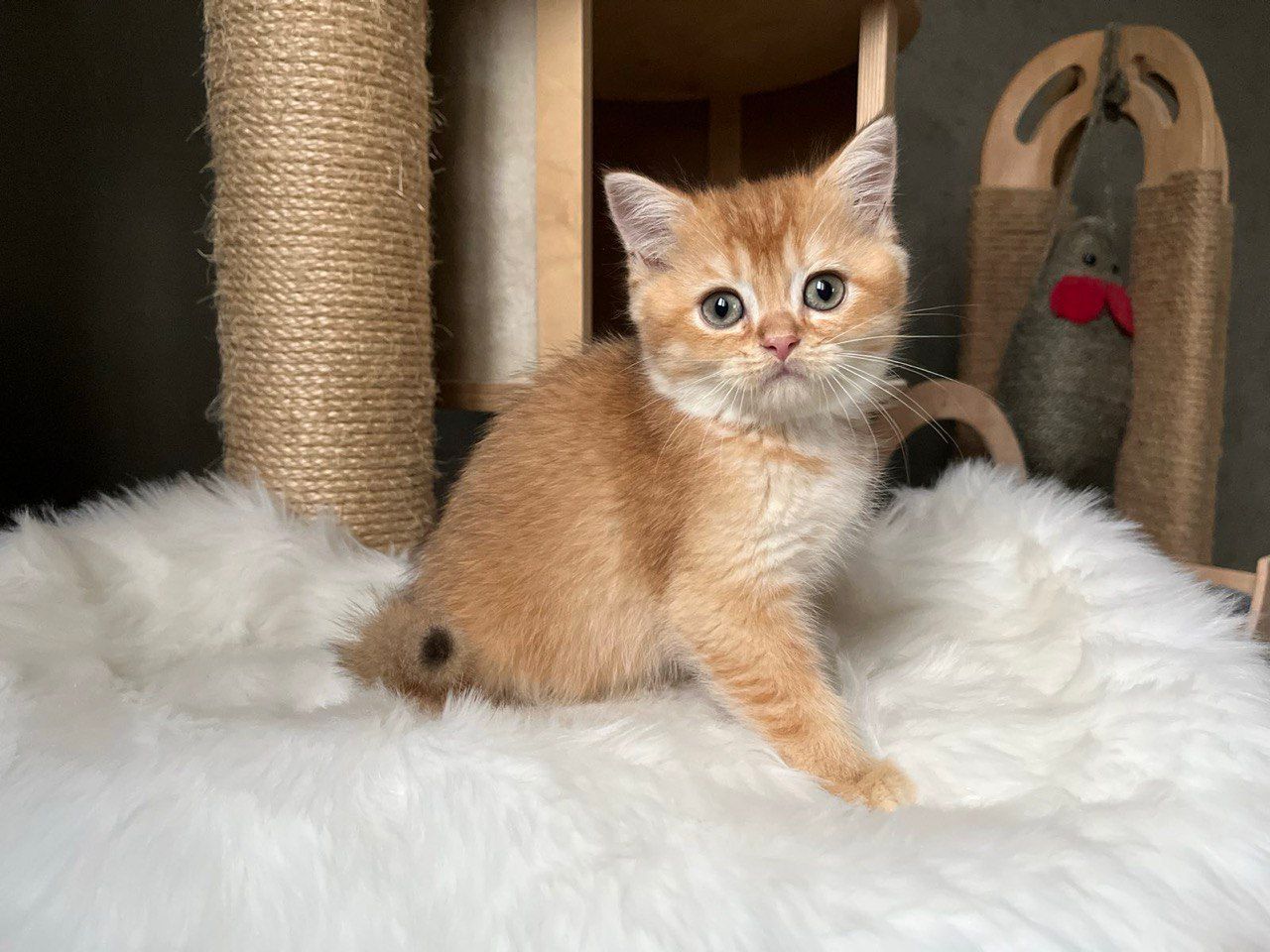 WhatsApp Image 2023-11-27 at 20.37.54