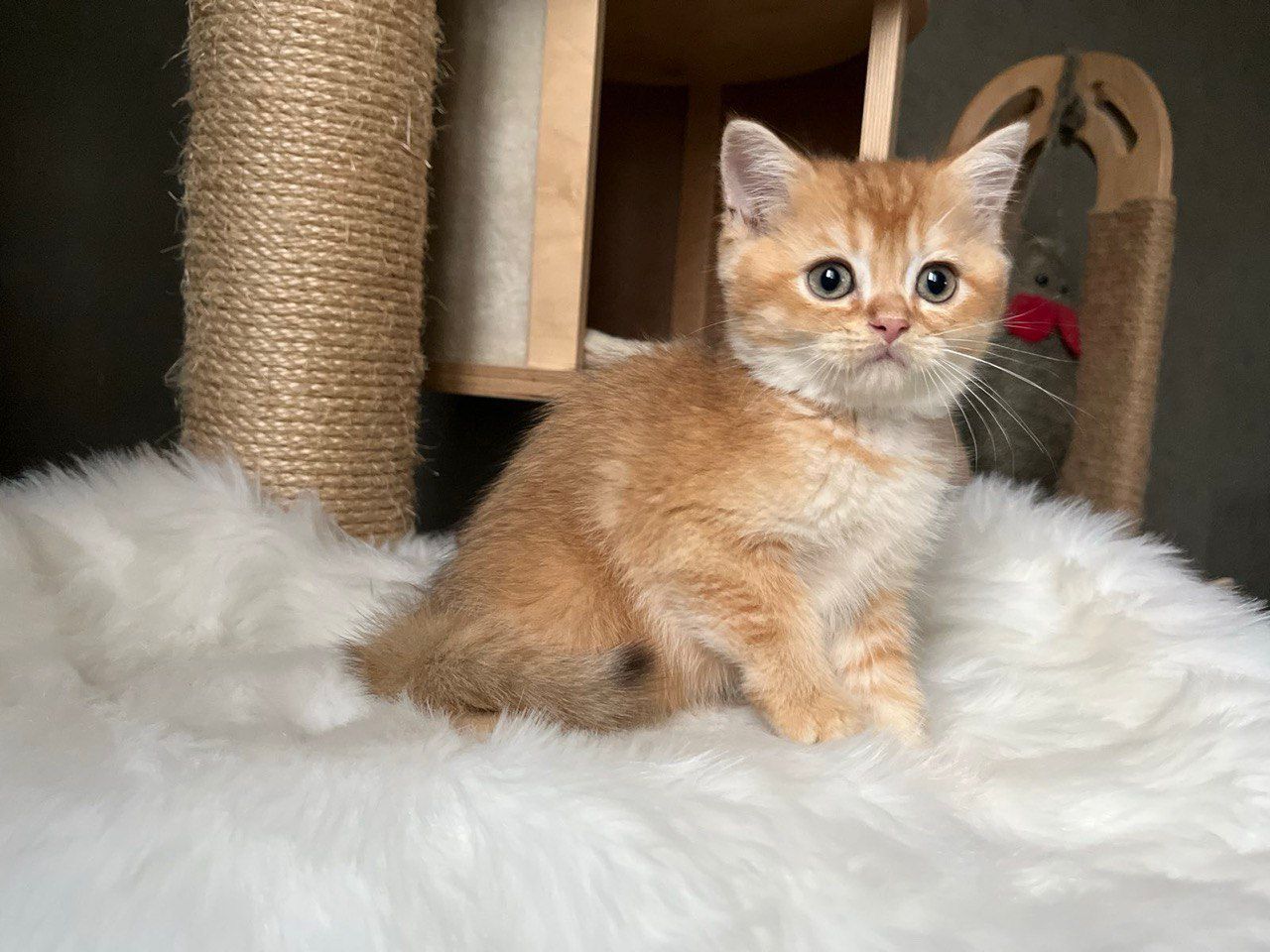 WhatsApp Image 2023-11-27 at 20.37.55